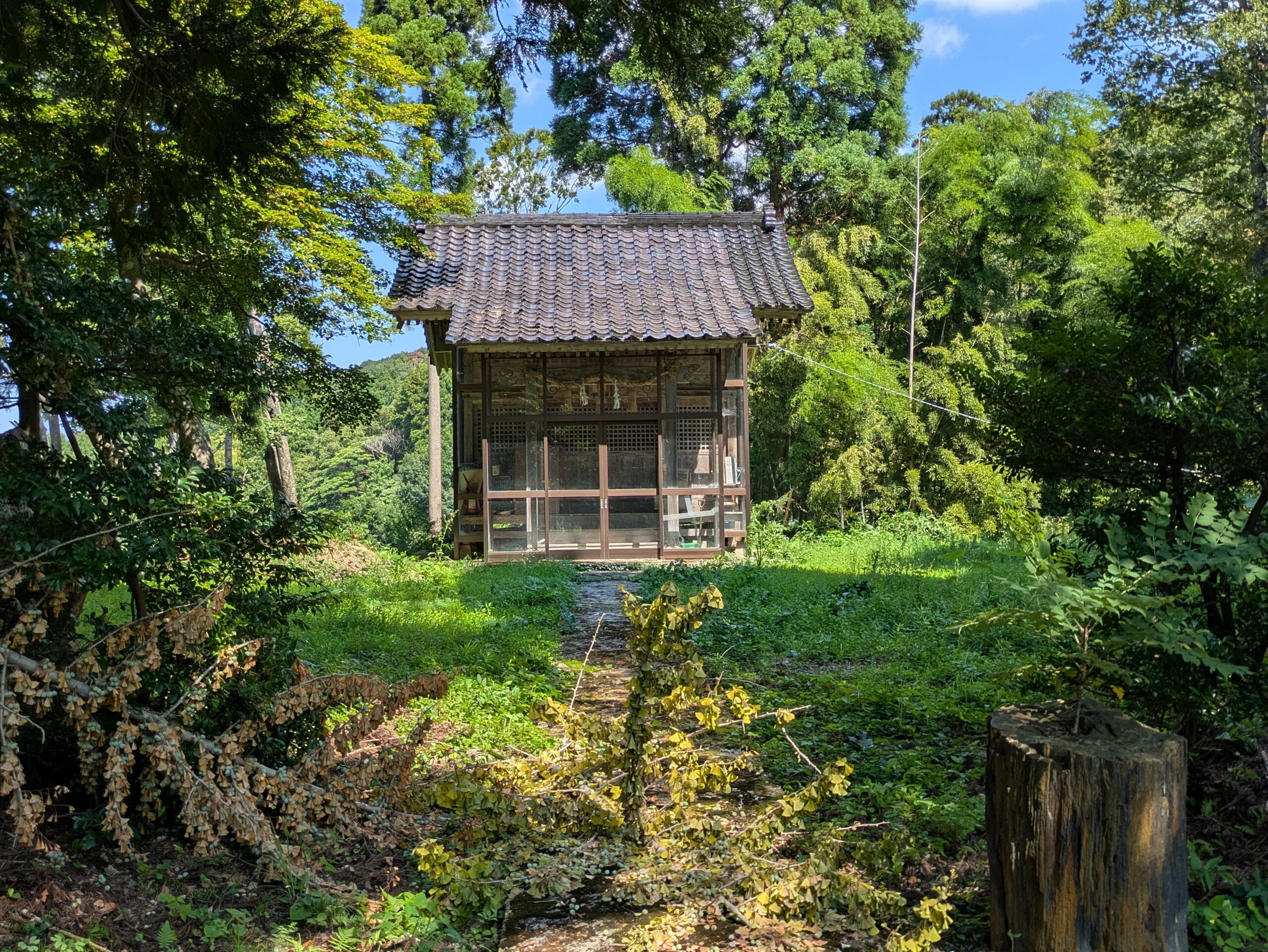 倉ケ嶽町の白山神社の参道と社殿