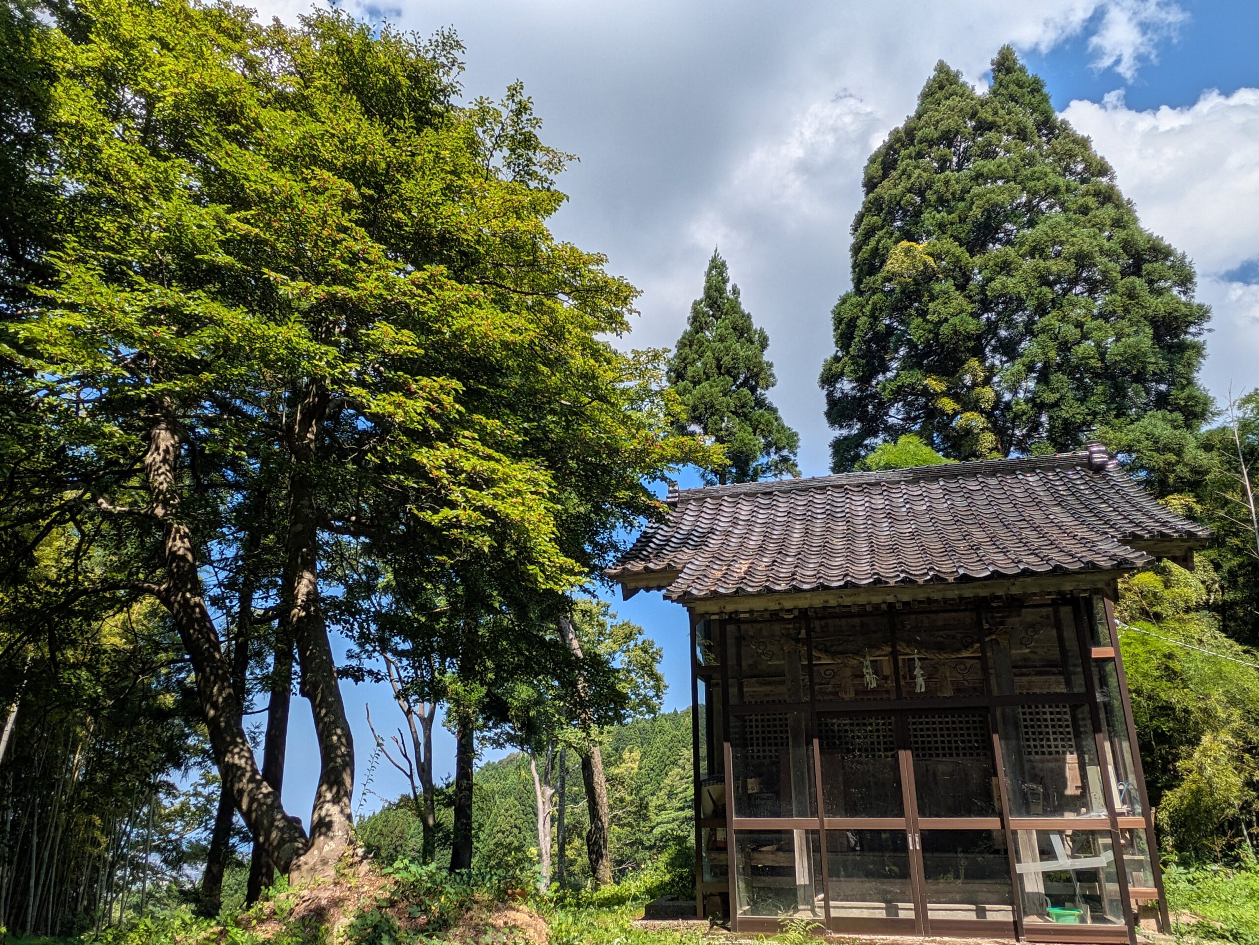 倉ケ嶽町の白山神社の社殿と周囲の大木