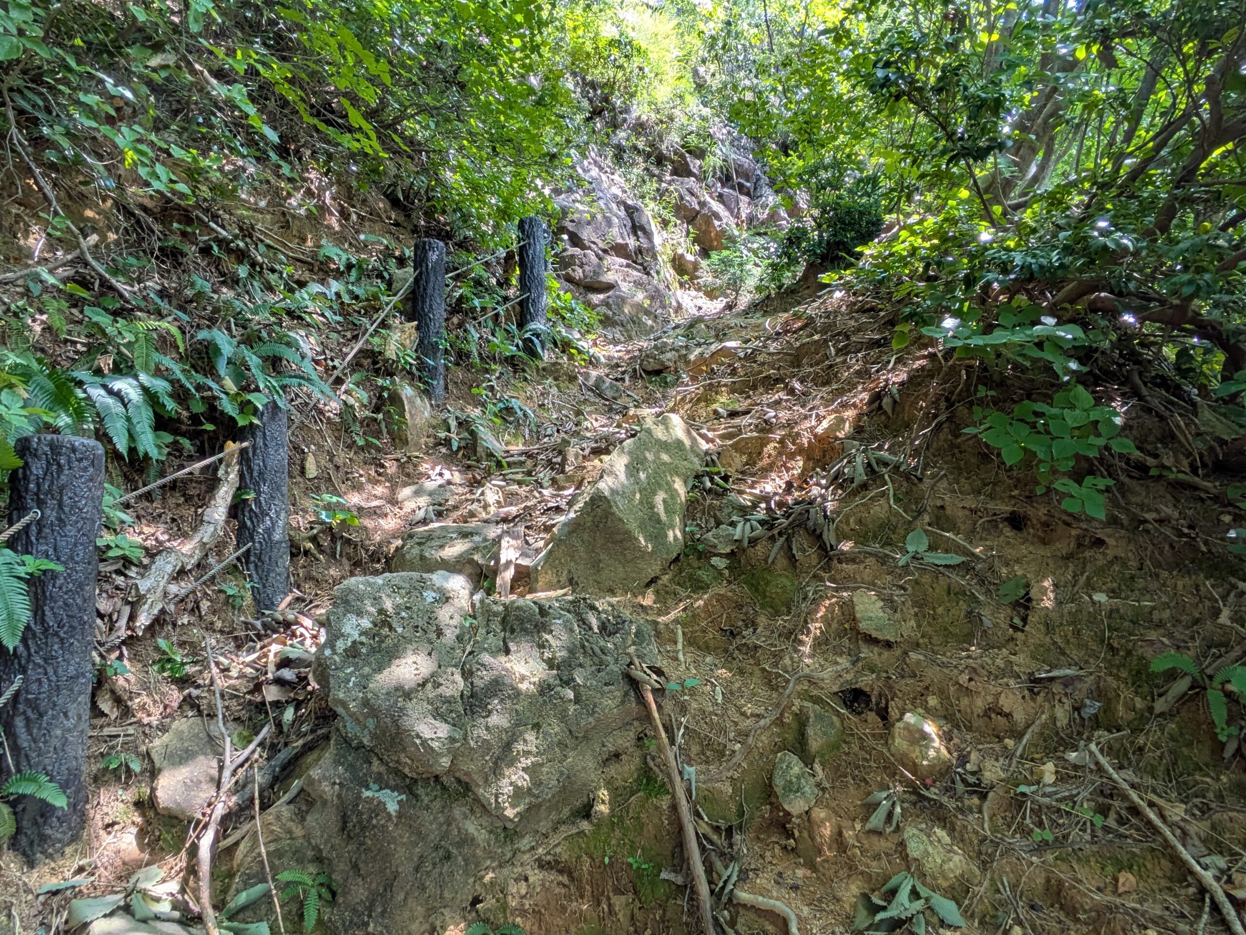 倉ケ嶽大池の遊歩道に現れた岩の多い急な登り道
