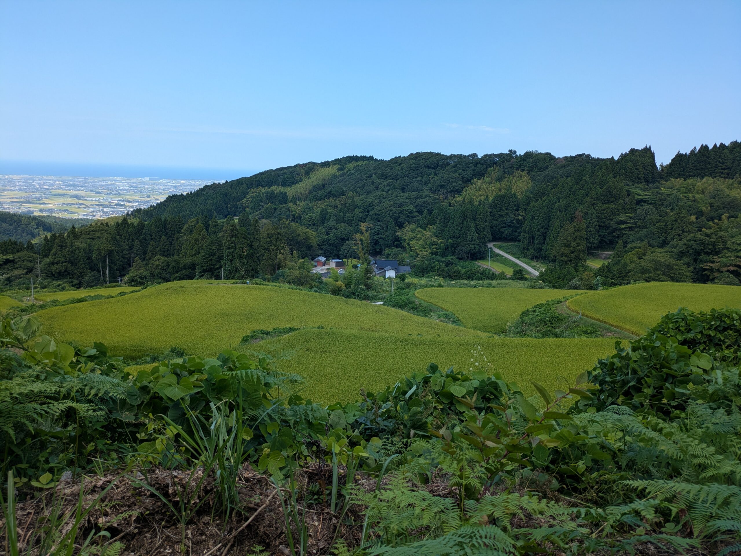 倉ケ嶽大池へ向かう山道から見えた棚田と倉ケ嶽町の集落