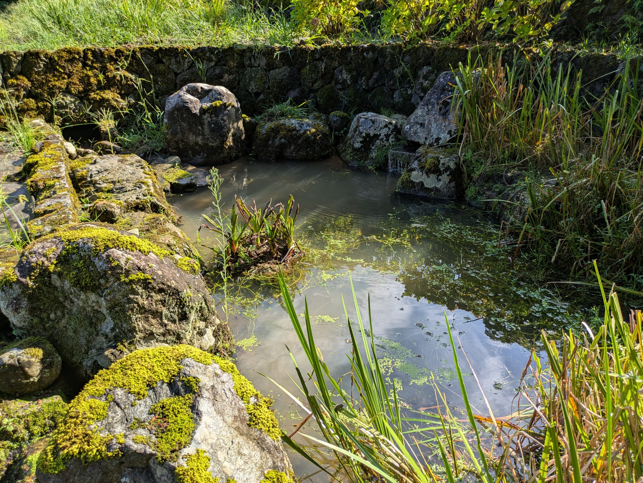 卯辰山花菖蒲園にある水辺と石組み