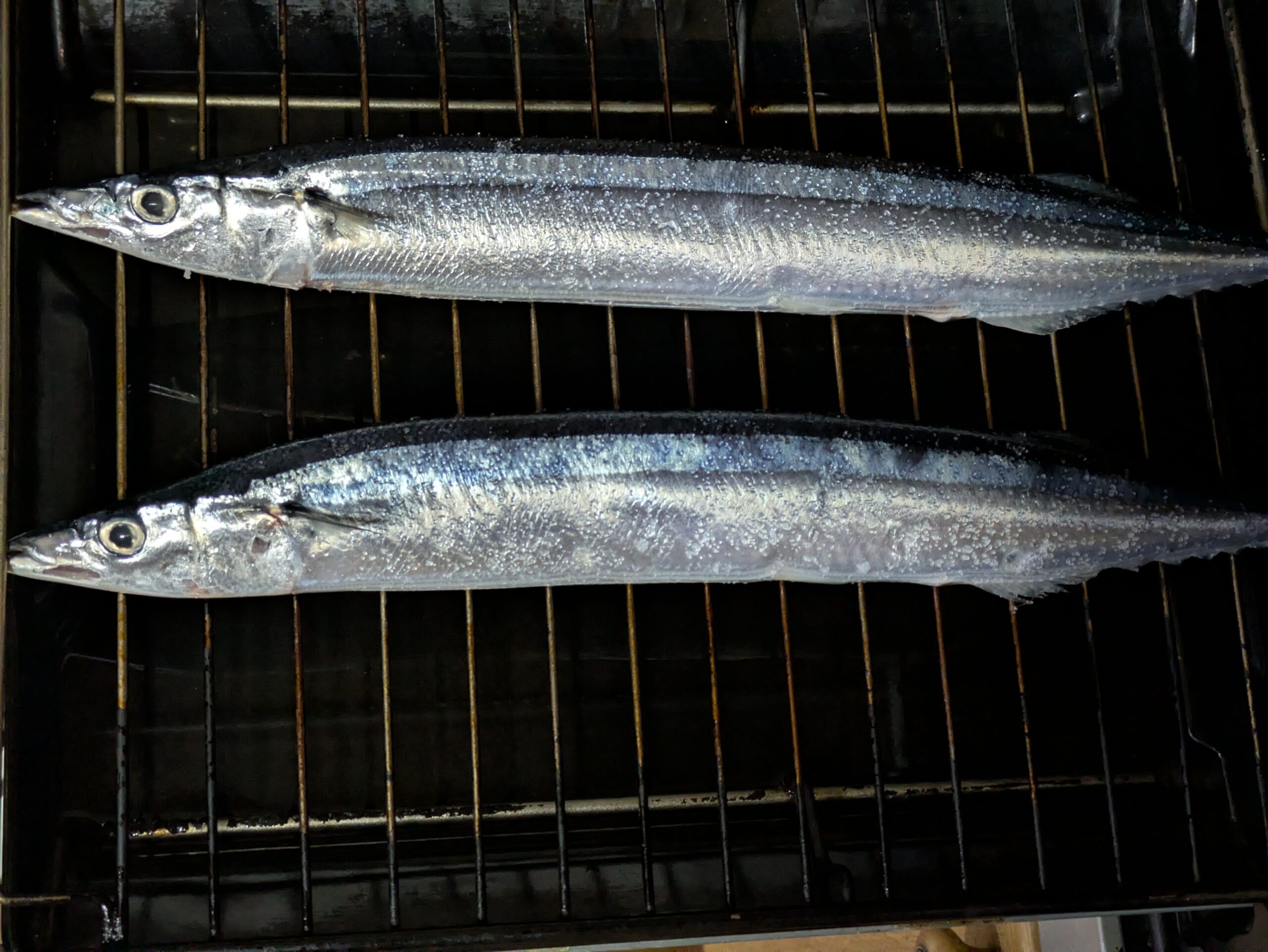 塩を振って魚焼きグリルに並べたサンマ