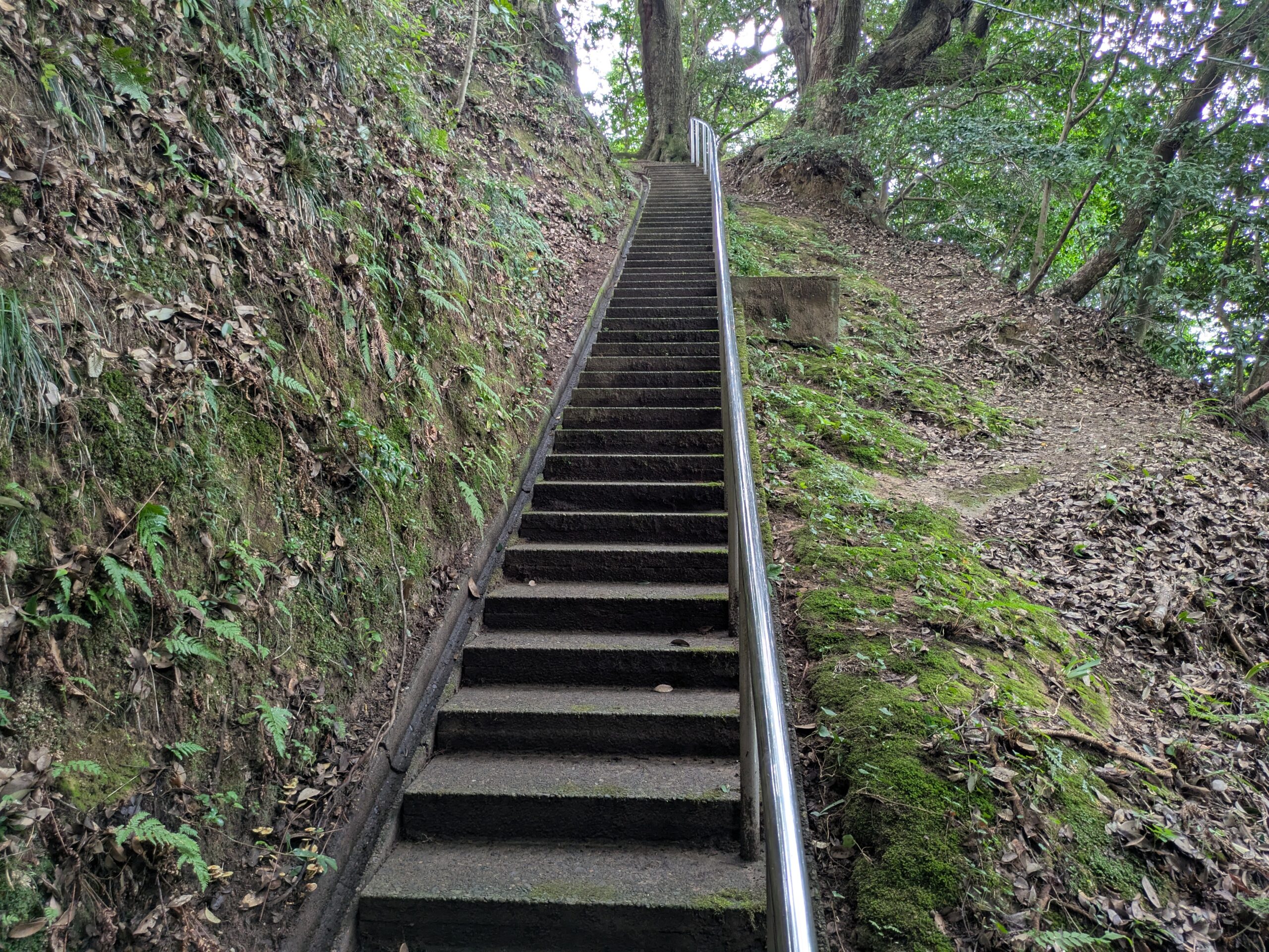 花園神社の境内へ続く階段