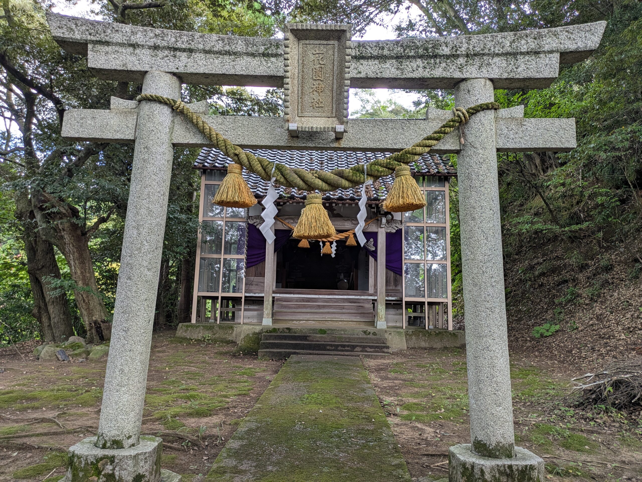 花園神社の境内にある鳥居と拝殿
