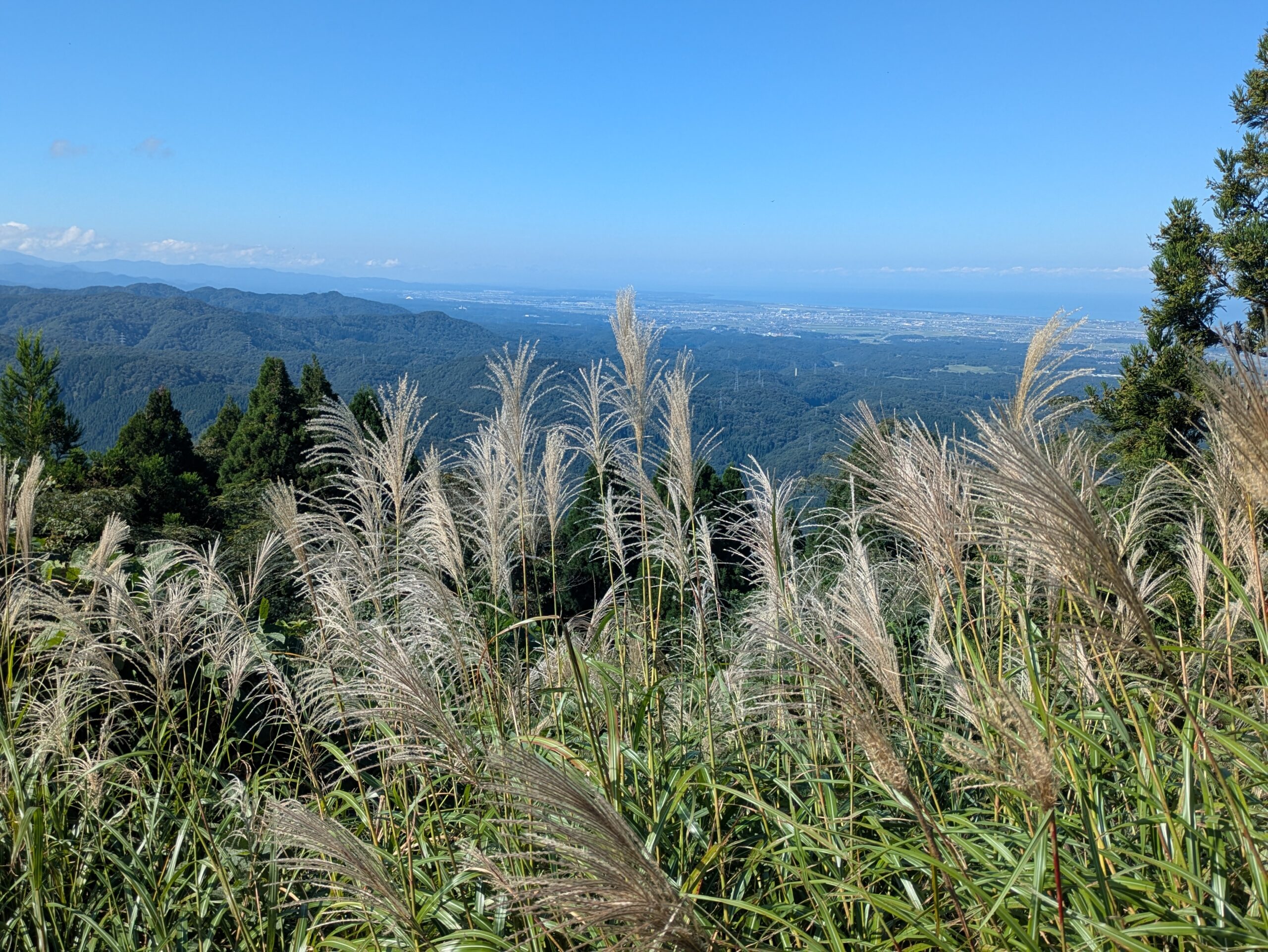 奥獅子吼山のススキと山の景色