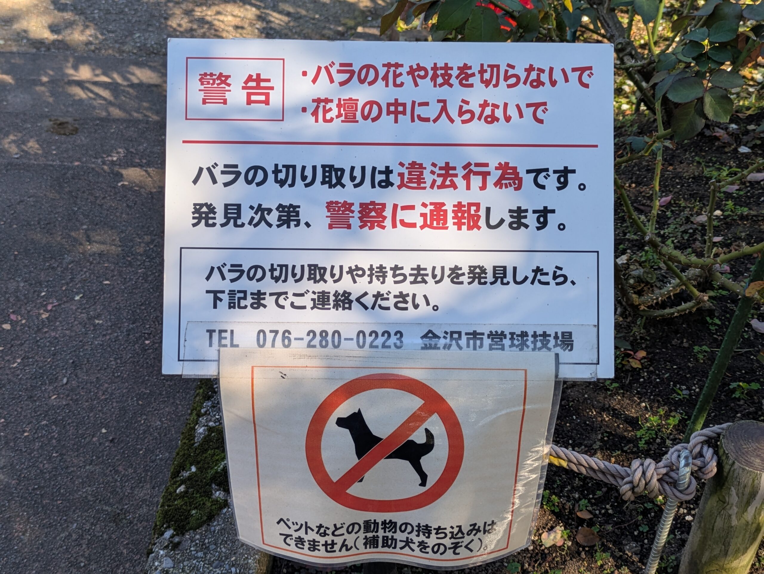 バラの切り取り禁止とペットの持ち込み禁止を知らせる看板