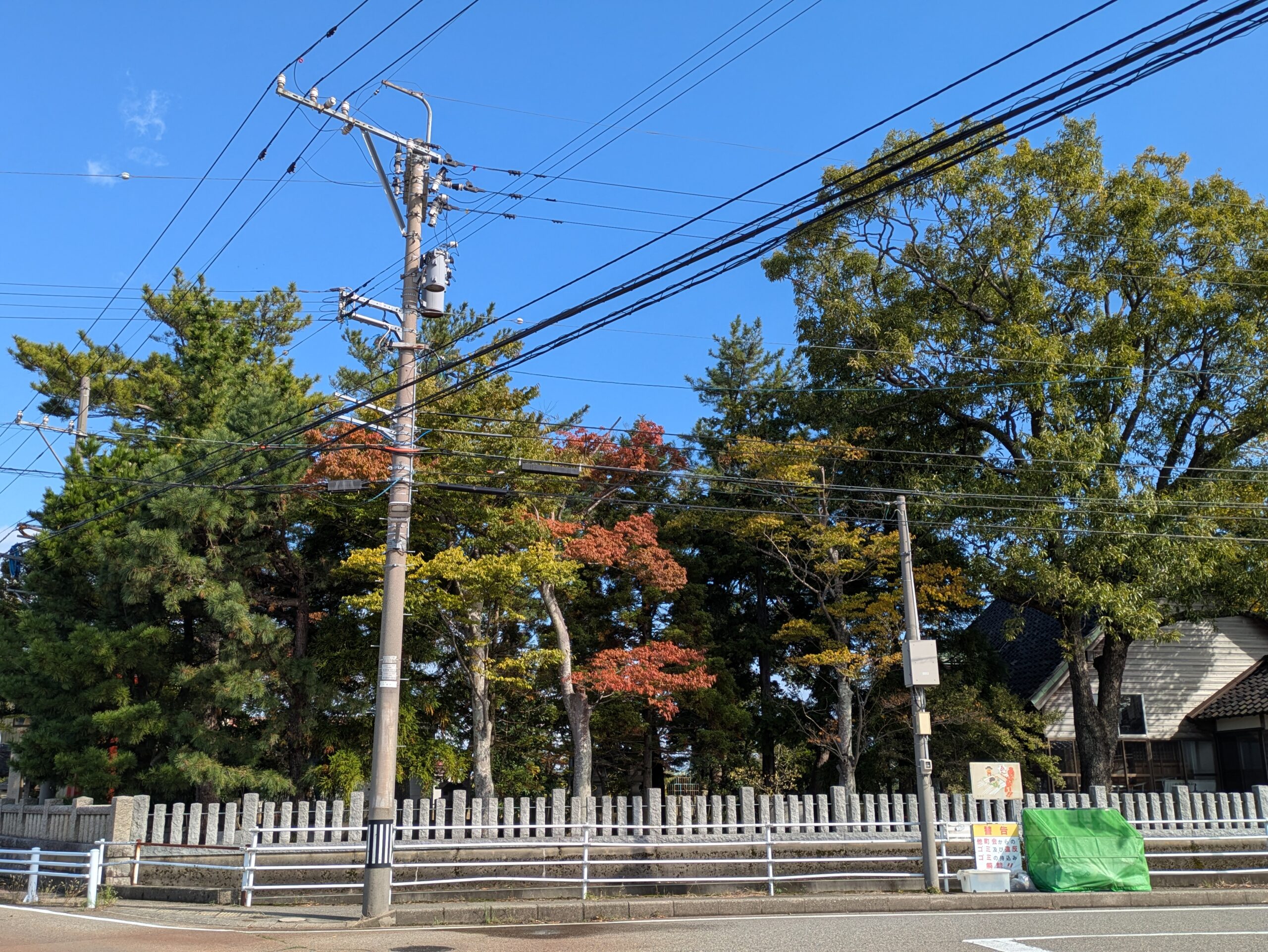 道路側から見た佐那武神社の境内と秋色に変わり始めた大きな樹木
