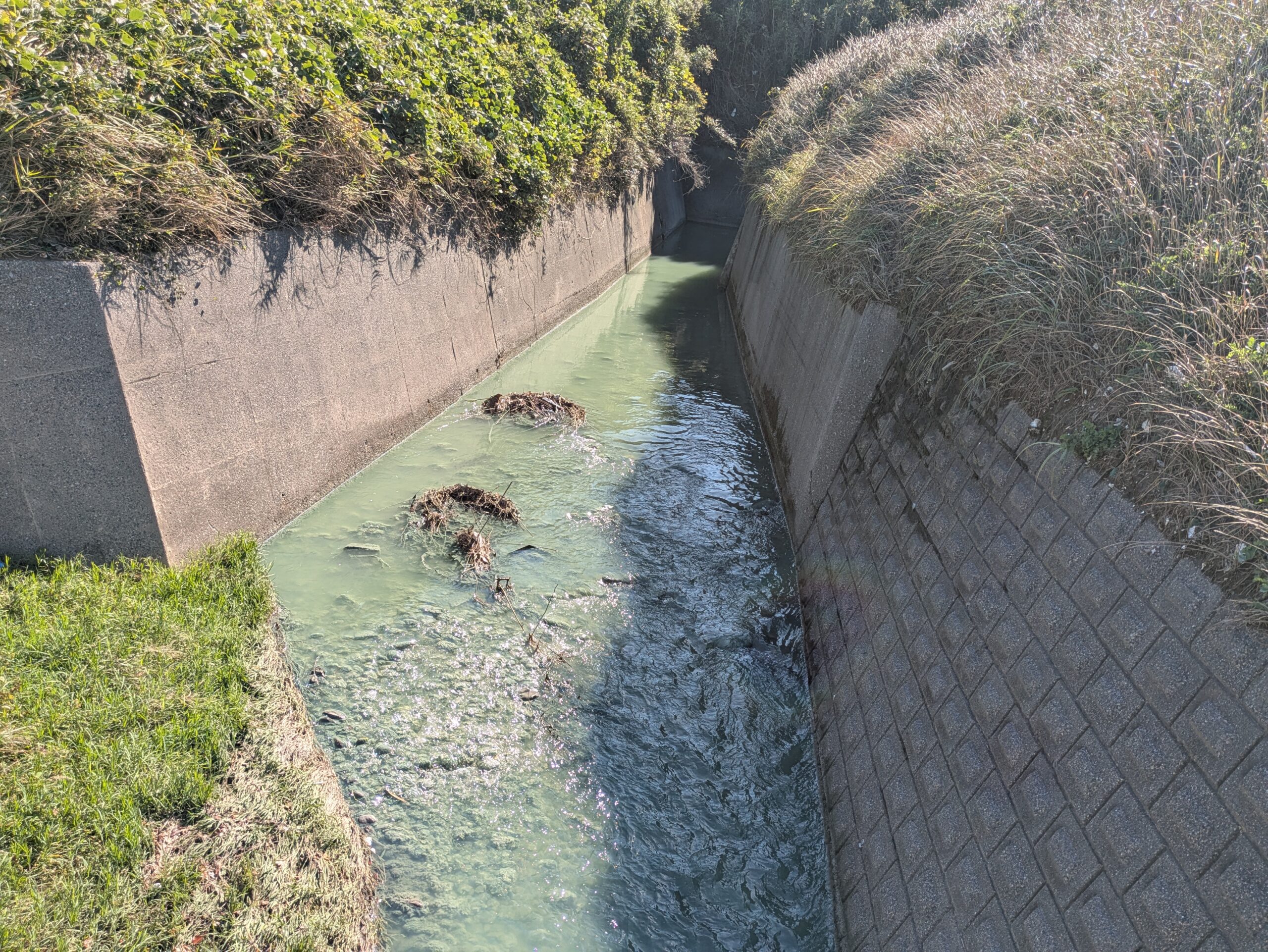 相川新町を流れる川の河口と青白く見える水面