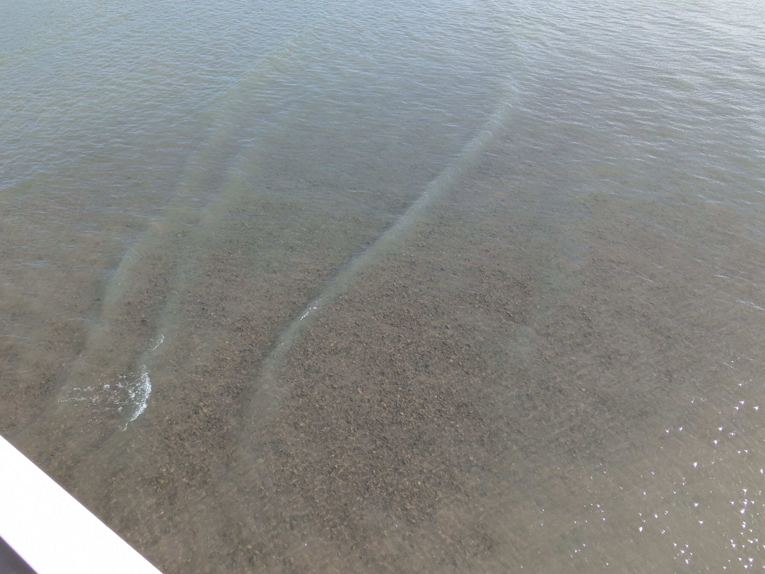 手取川本流の浅く見える川底と水の流れ