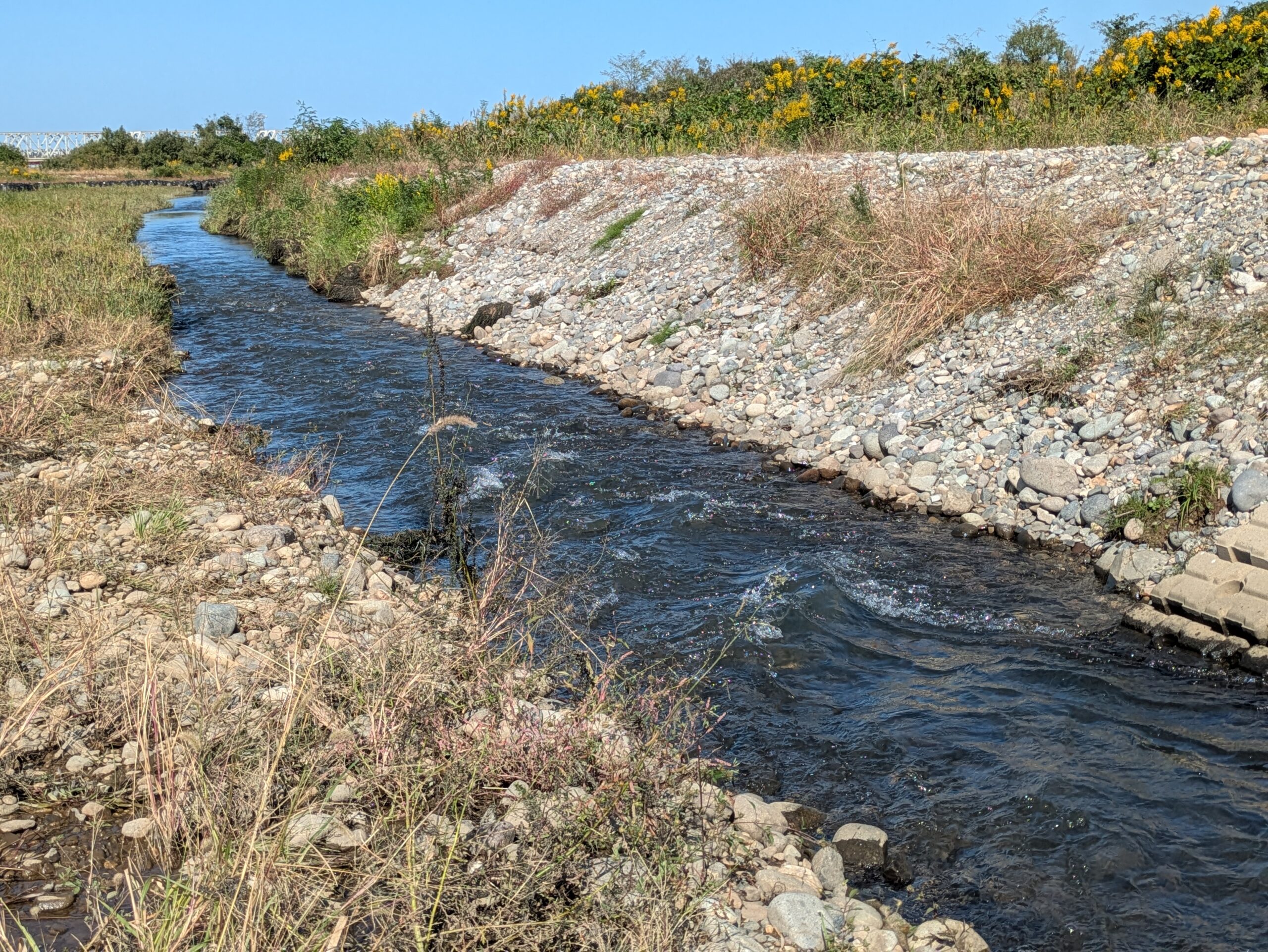 石が多く水の流れが見やすい小川