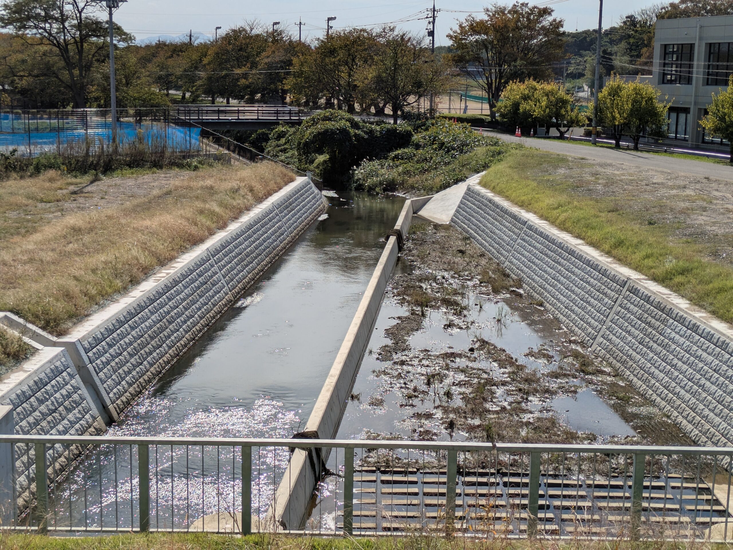 手取川付近の小川と周囲の風景