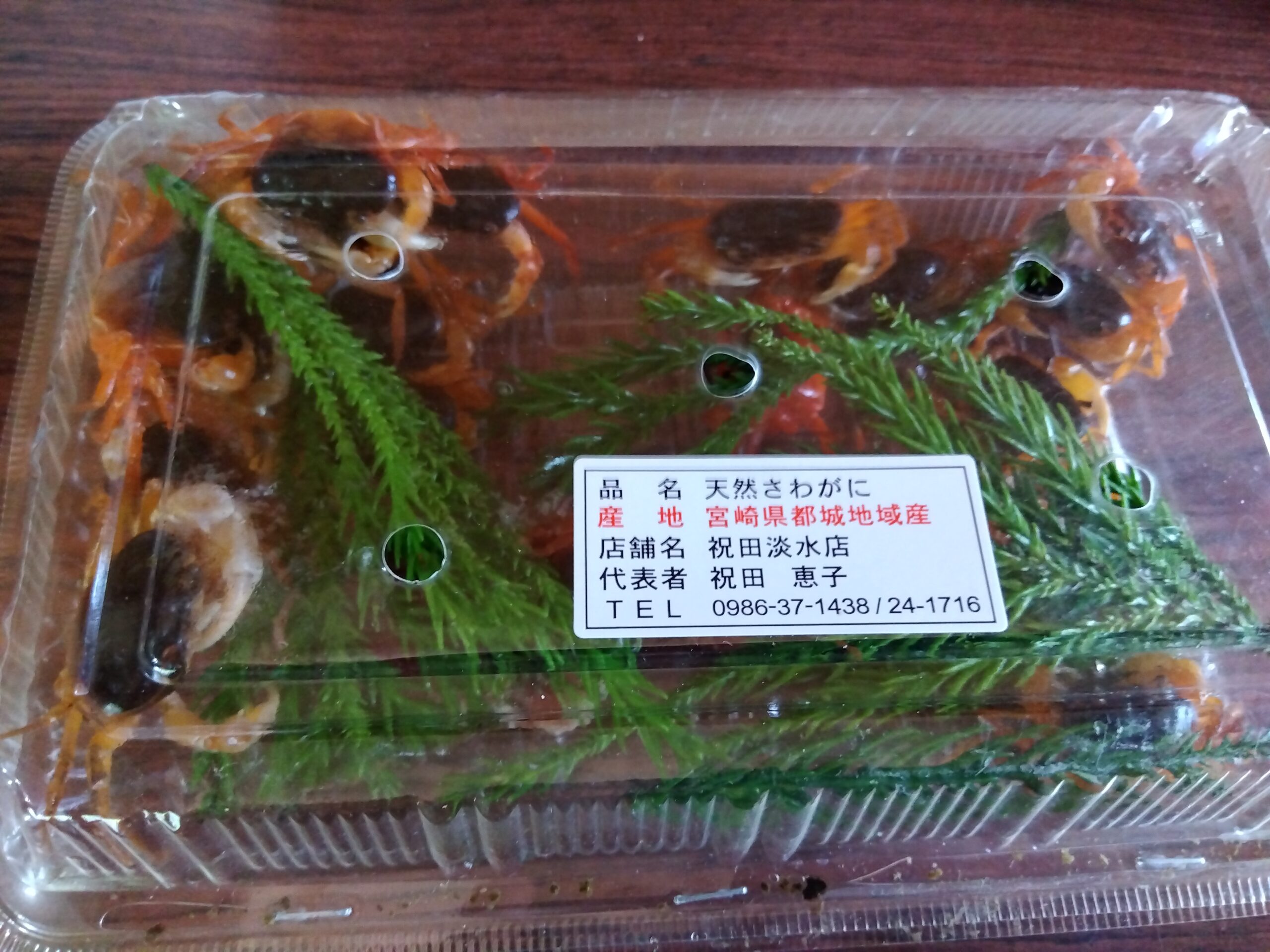 天然サワガニの販売パック。宮崎県産のサワガニが杉の葉と一緒に入れられている様子