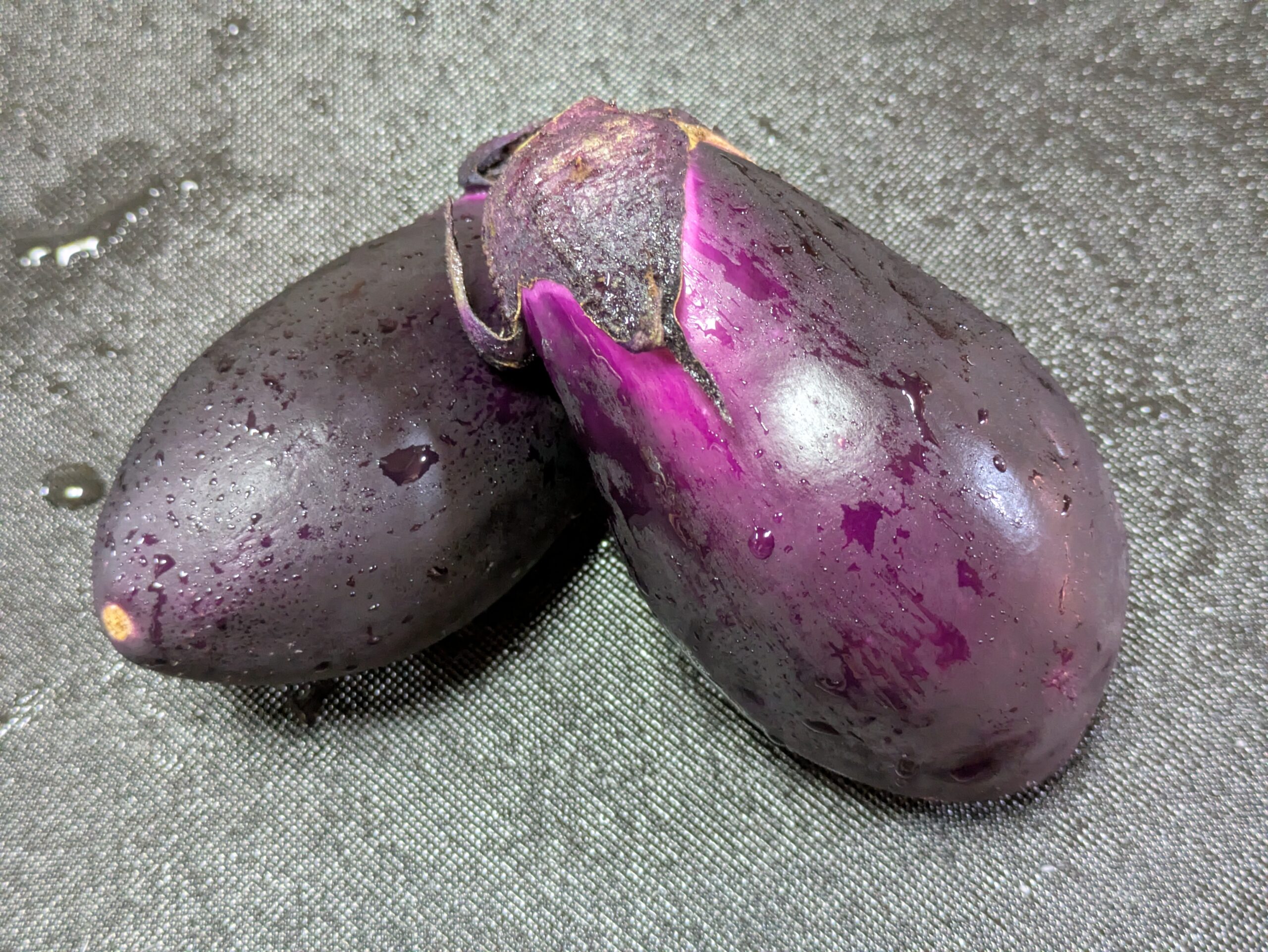 ヘタの下まで濃い紫色をした加賀野菜のヘタ紫ナス