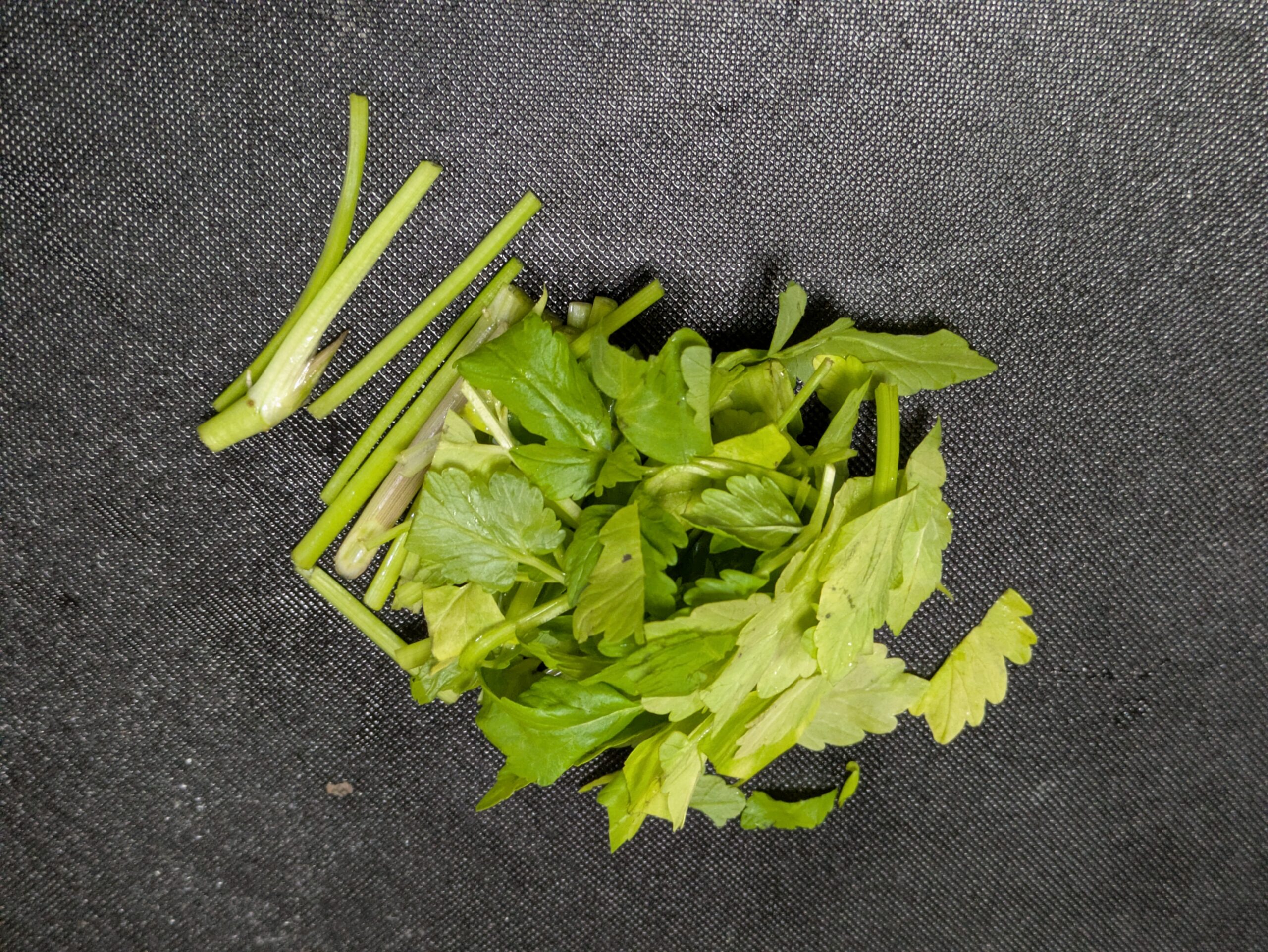 ドジョウの卵とじ用に食べやすく切ったセリ