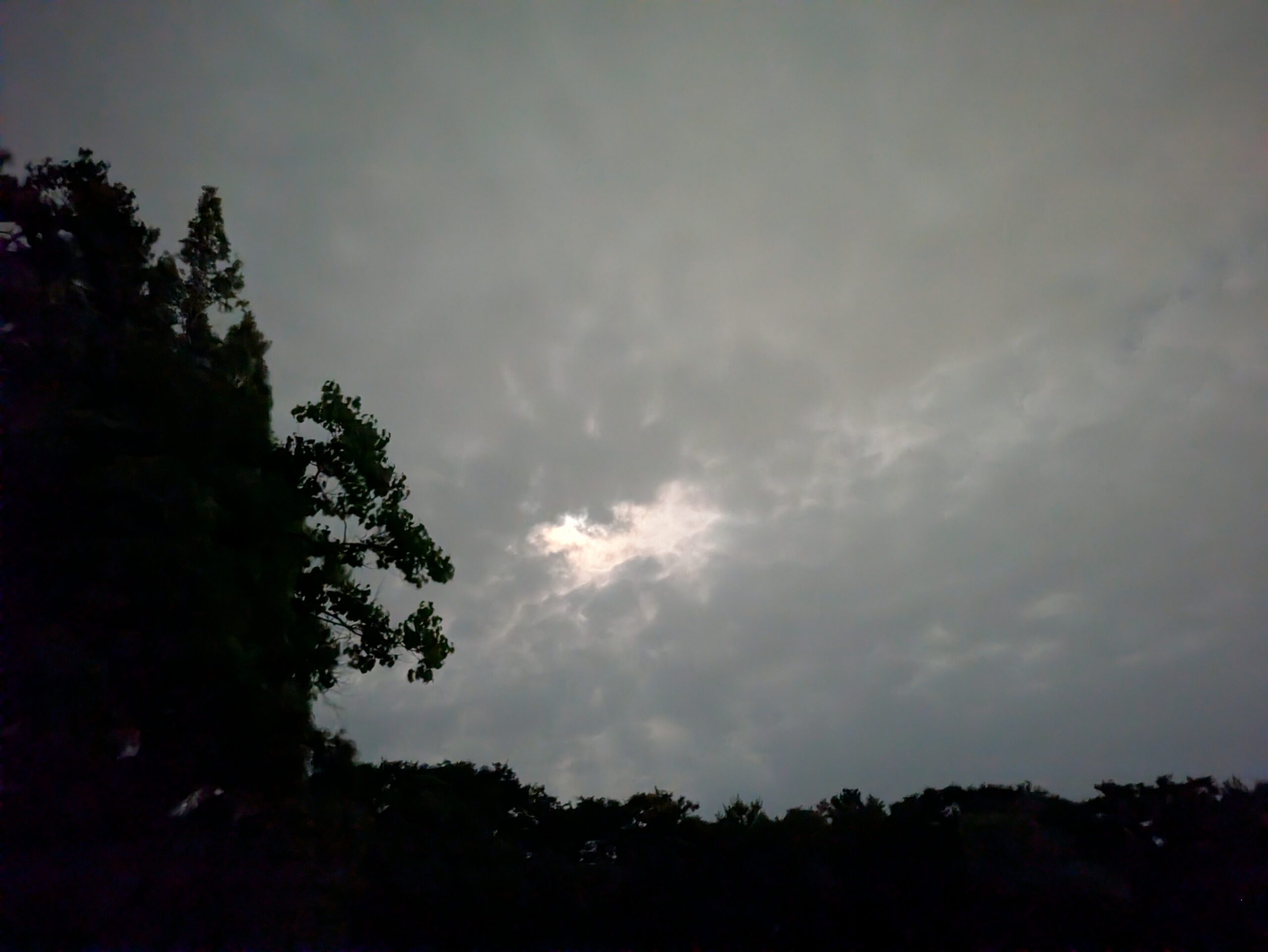 クワガタ探しに出かけた8月1日の曇り空