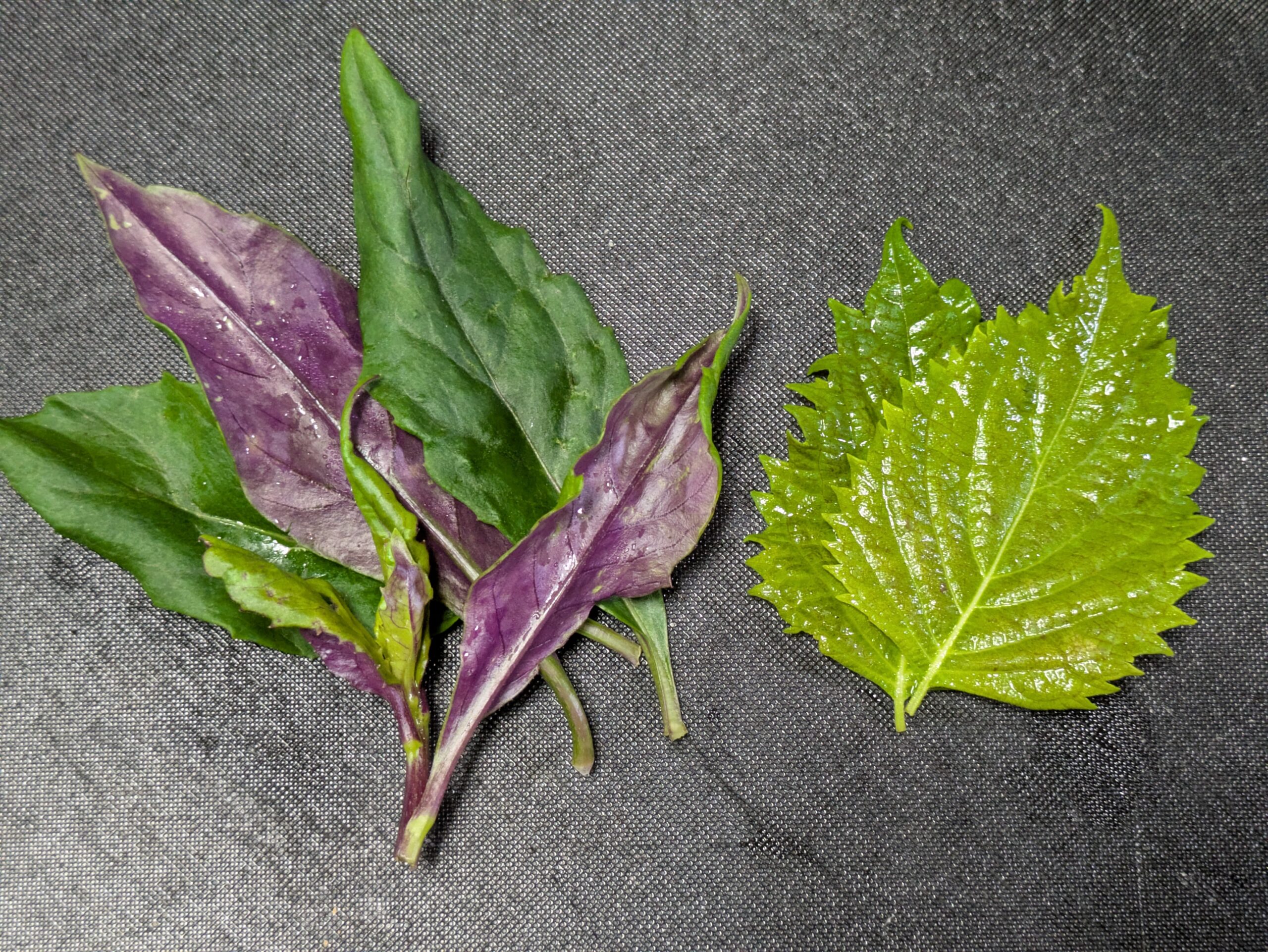 天ぷらにする金時草と大葉