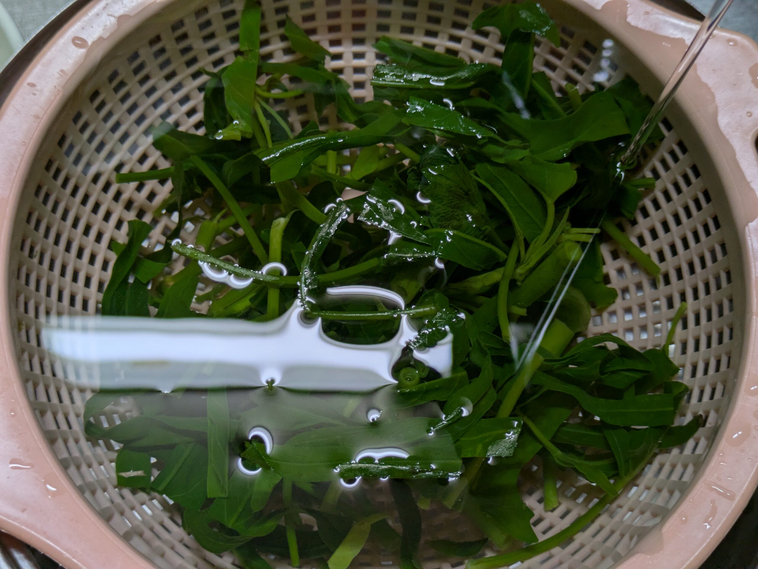 茹でたエンサイ（空心菜）を冷水で冷やしている様子