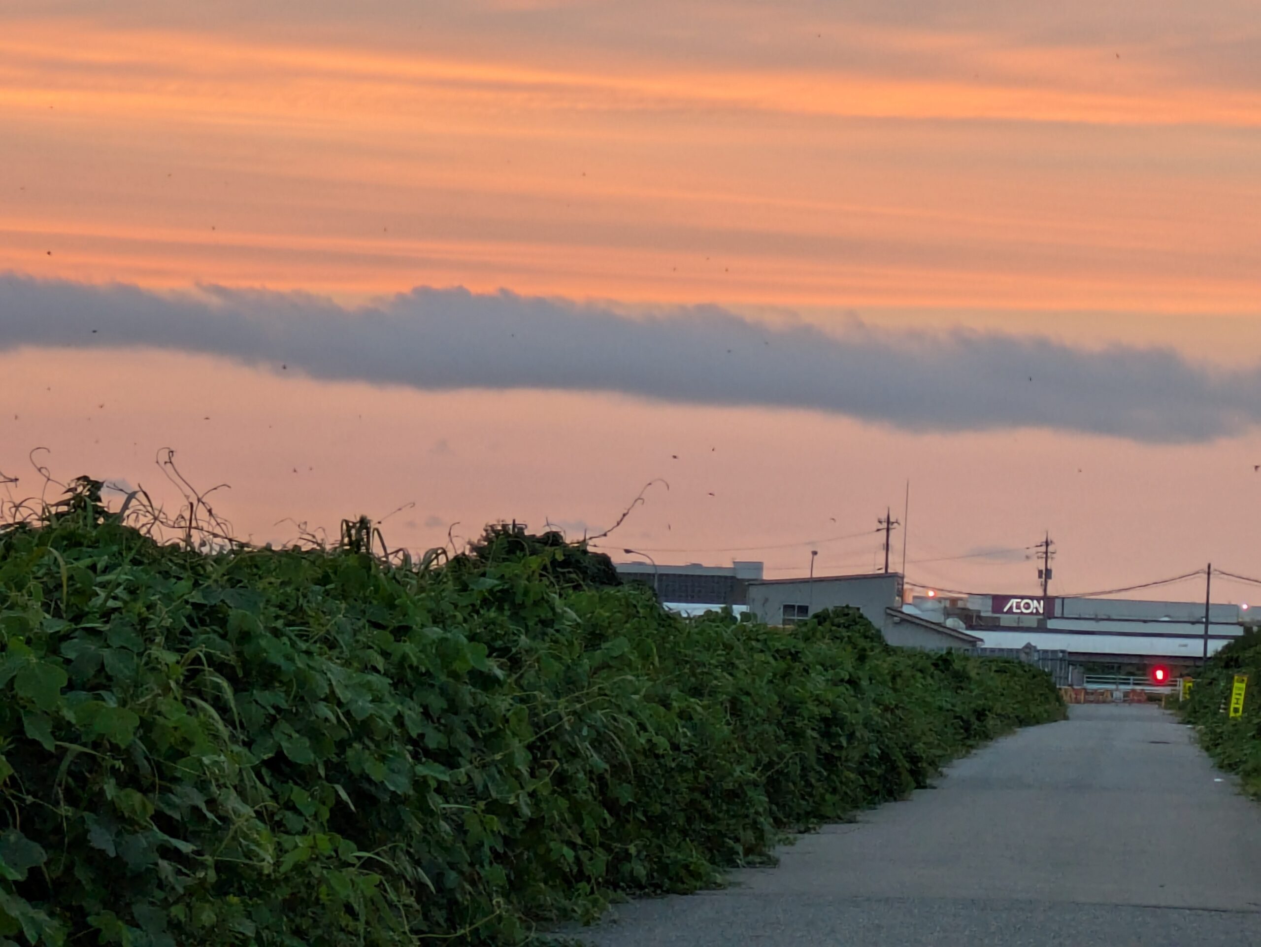 河北潟の湖北大橋付近から見た夕方の景色