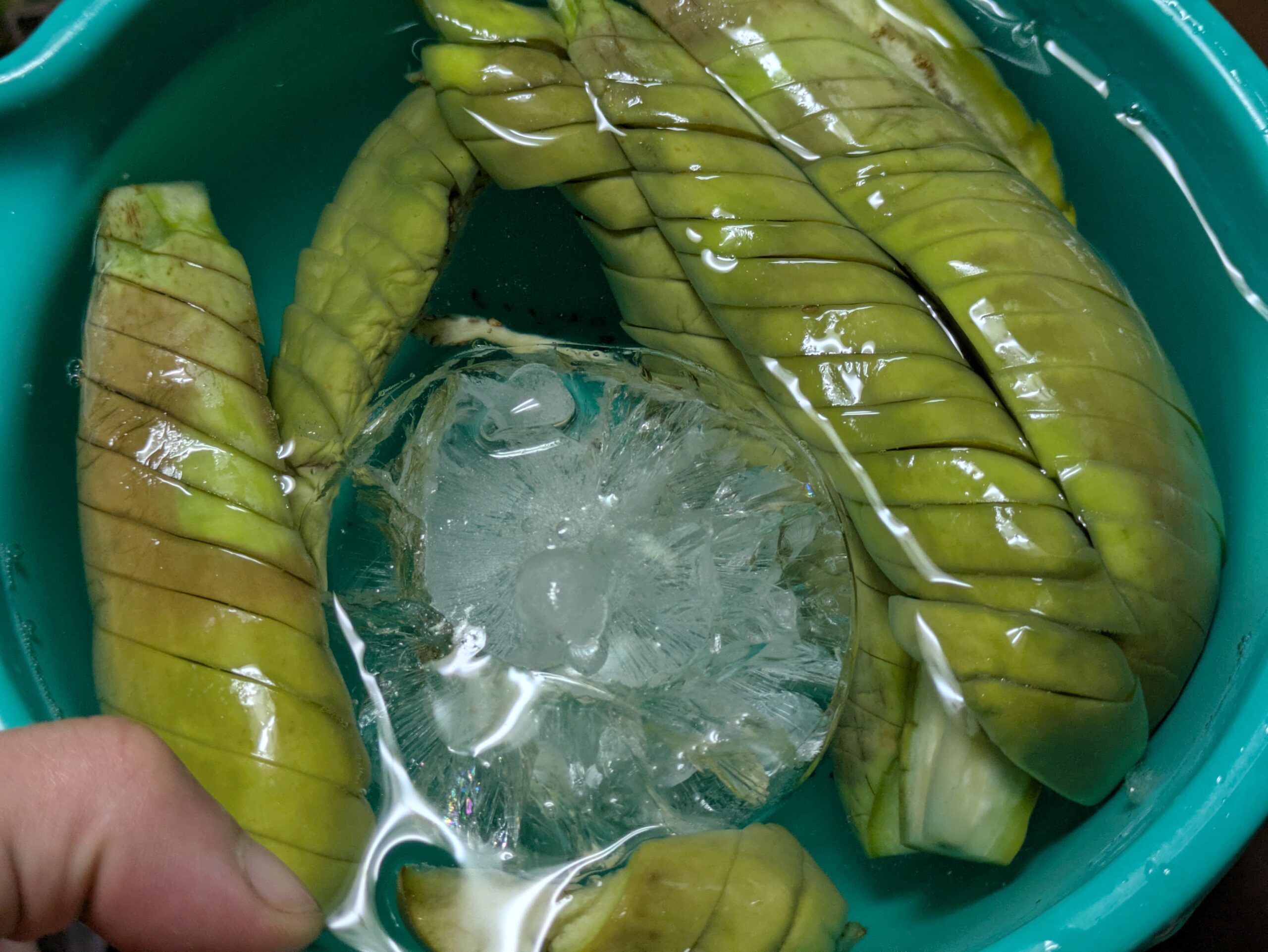 レンジ加熱した緑ナスを氷水で冷やしている様子
