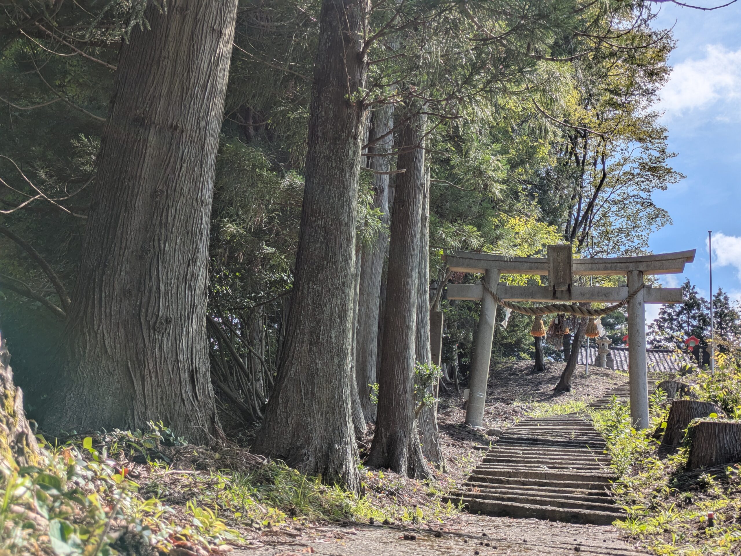 木々に囲まれた金沢市坪野町の事比羅神社の鳥居と参道