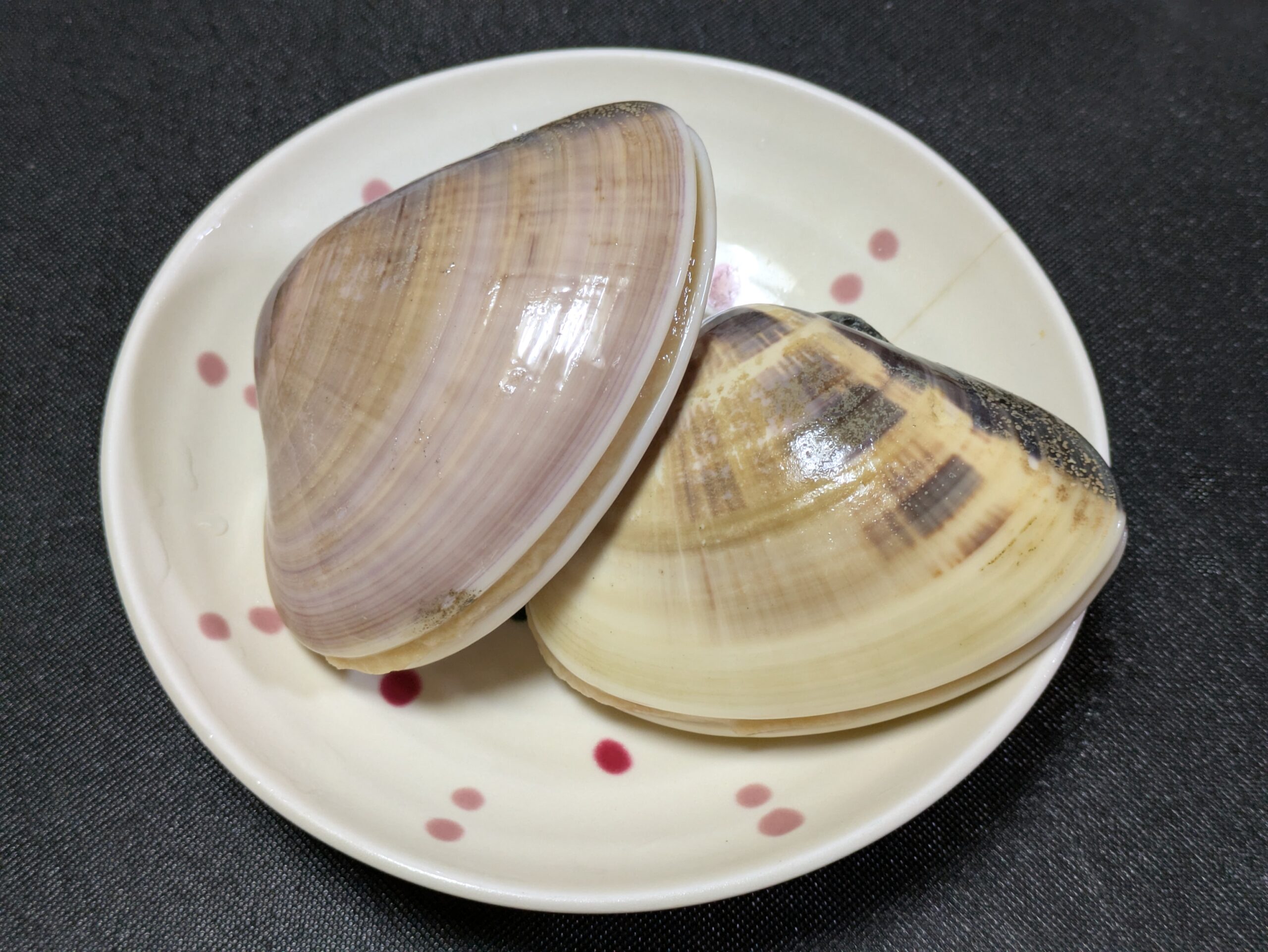 皿に並べた大きなハマグリ2個