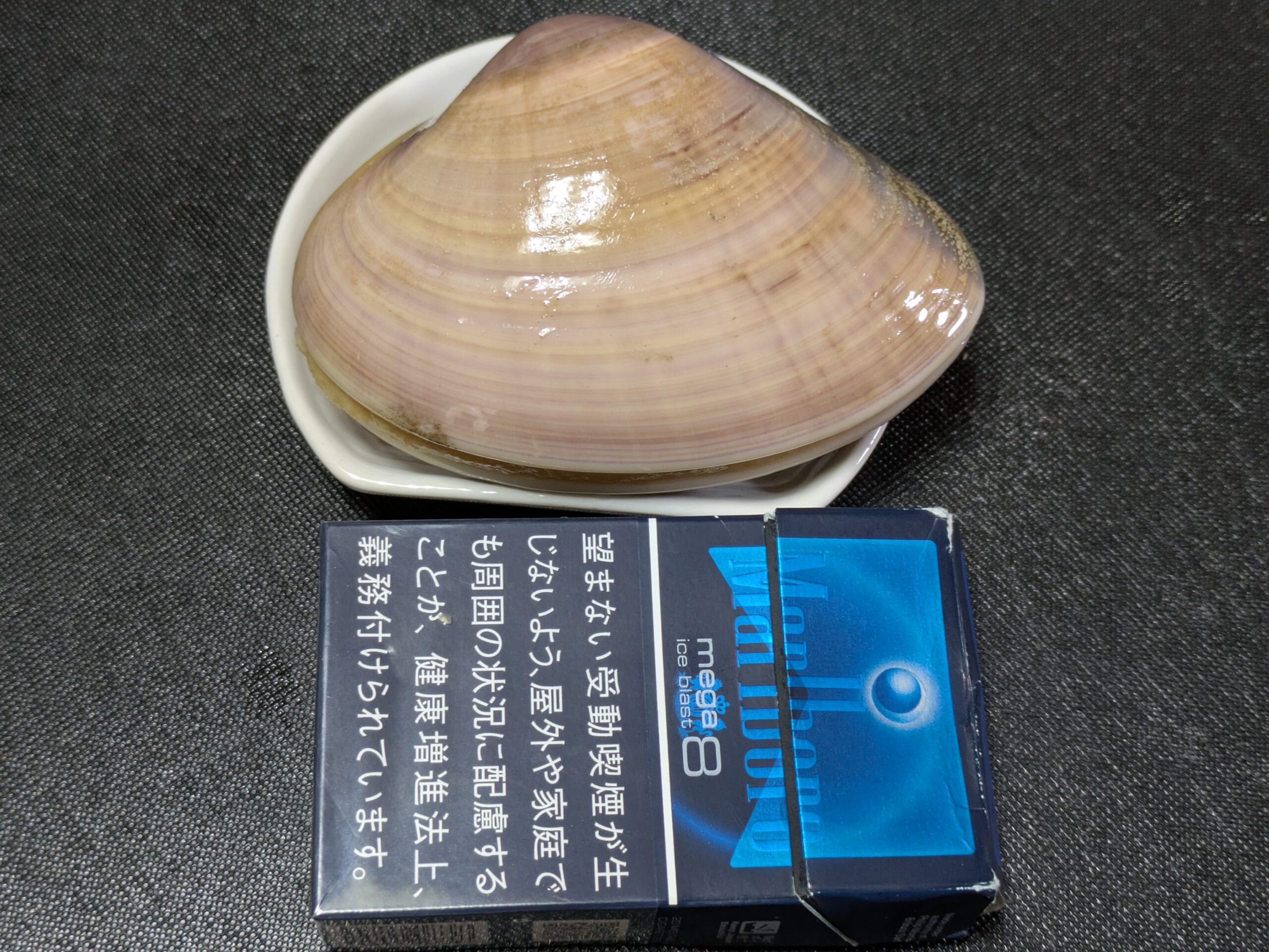 煙草の箱と大きさを比較した巨大なハマグリ