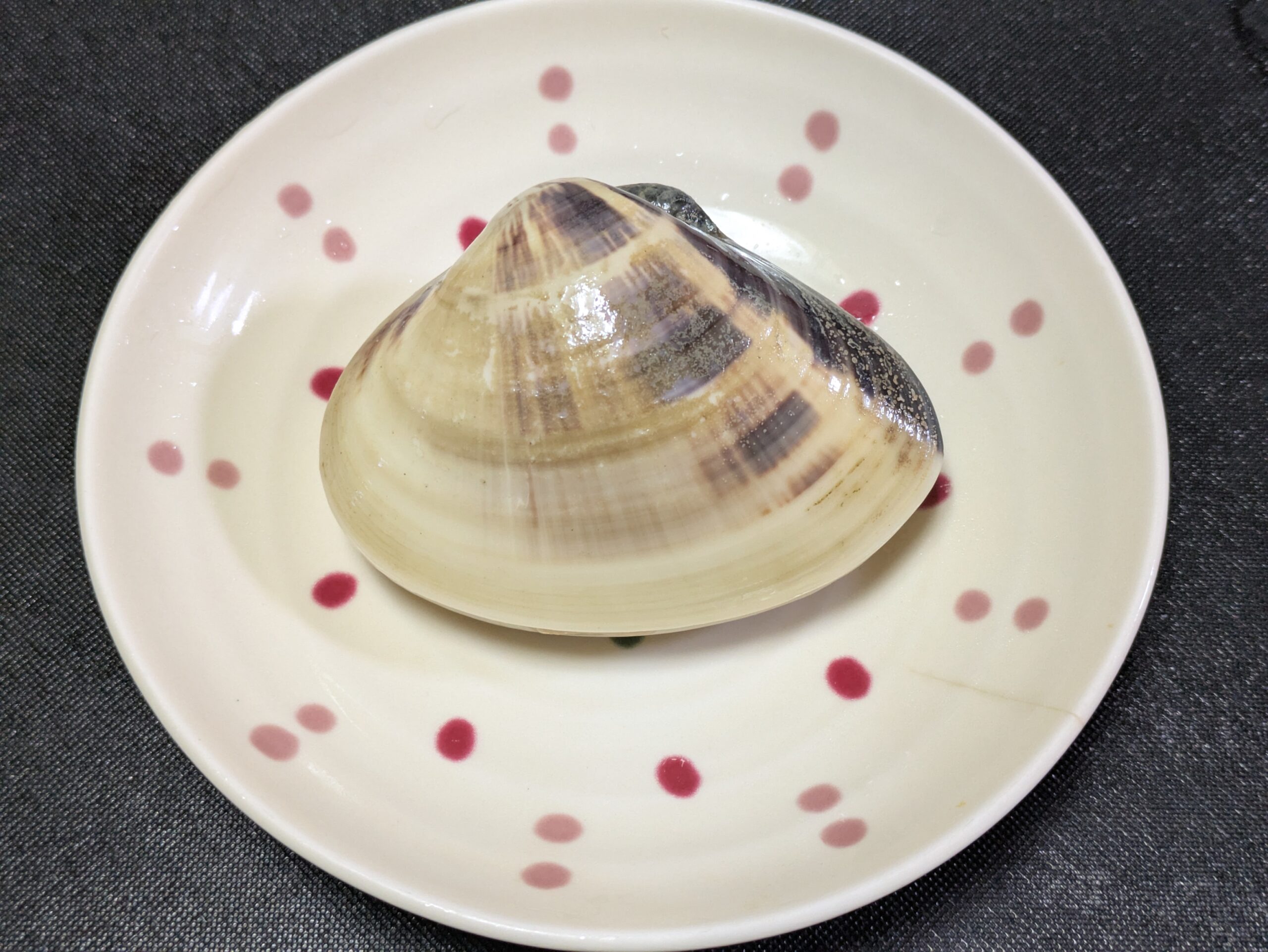 潮汁に使う10cmほどの巨大なハマグリ