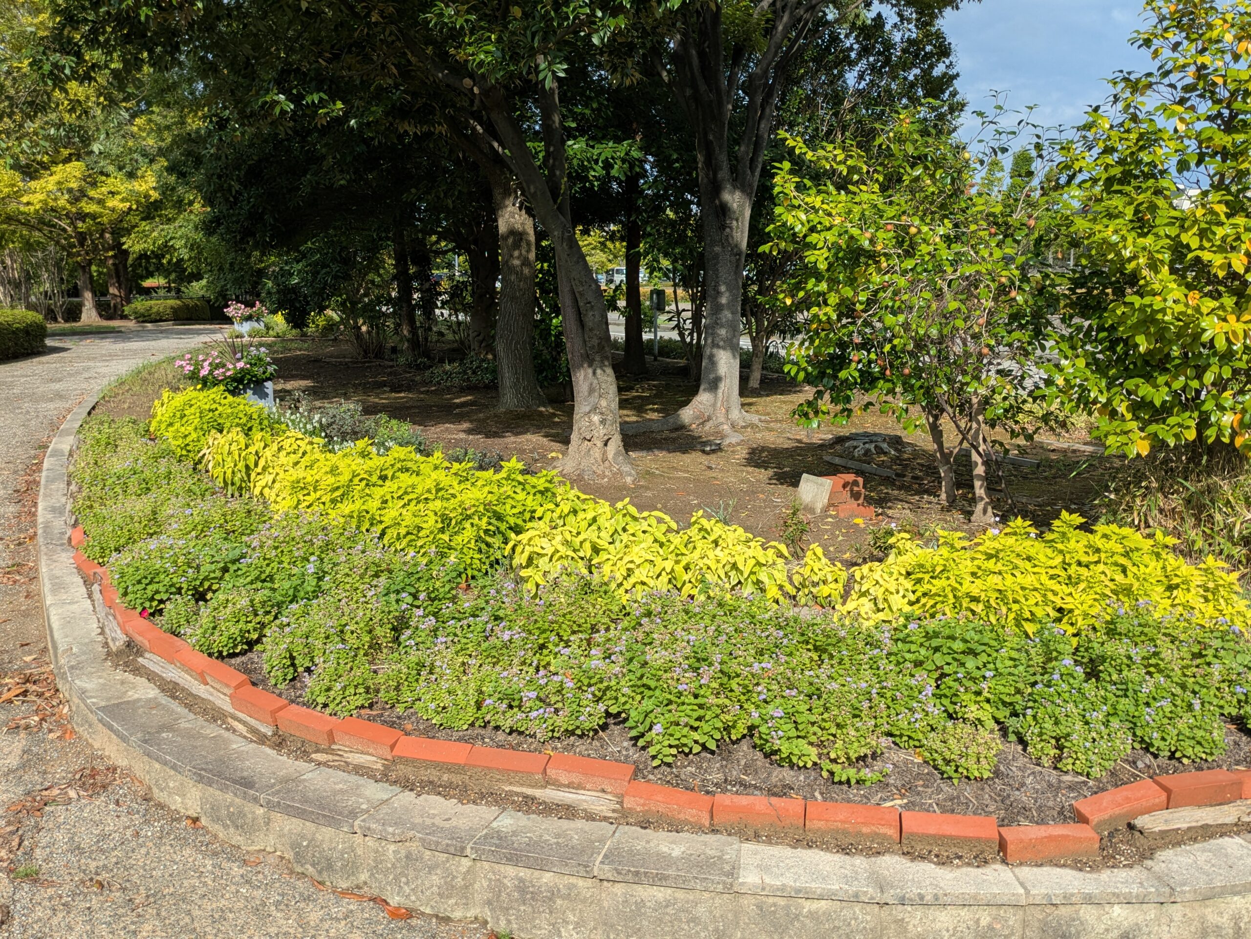 鞍月セントラルパークの花壇