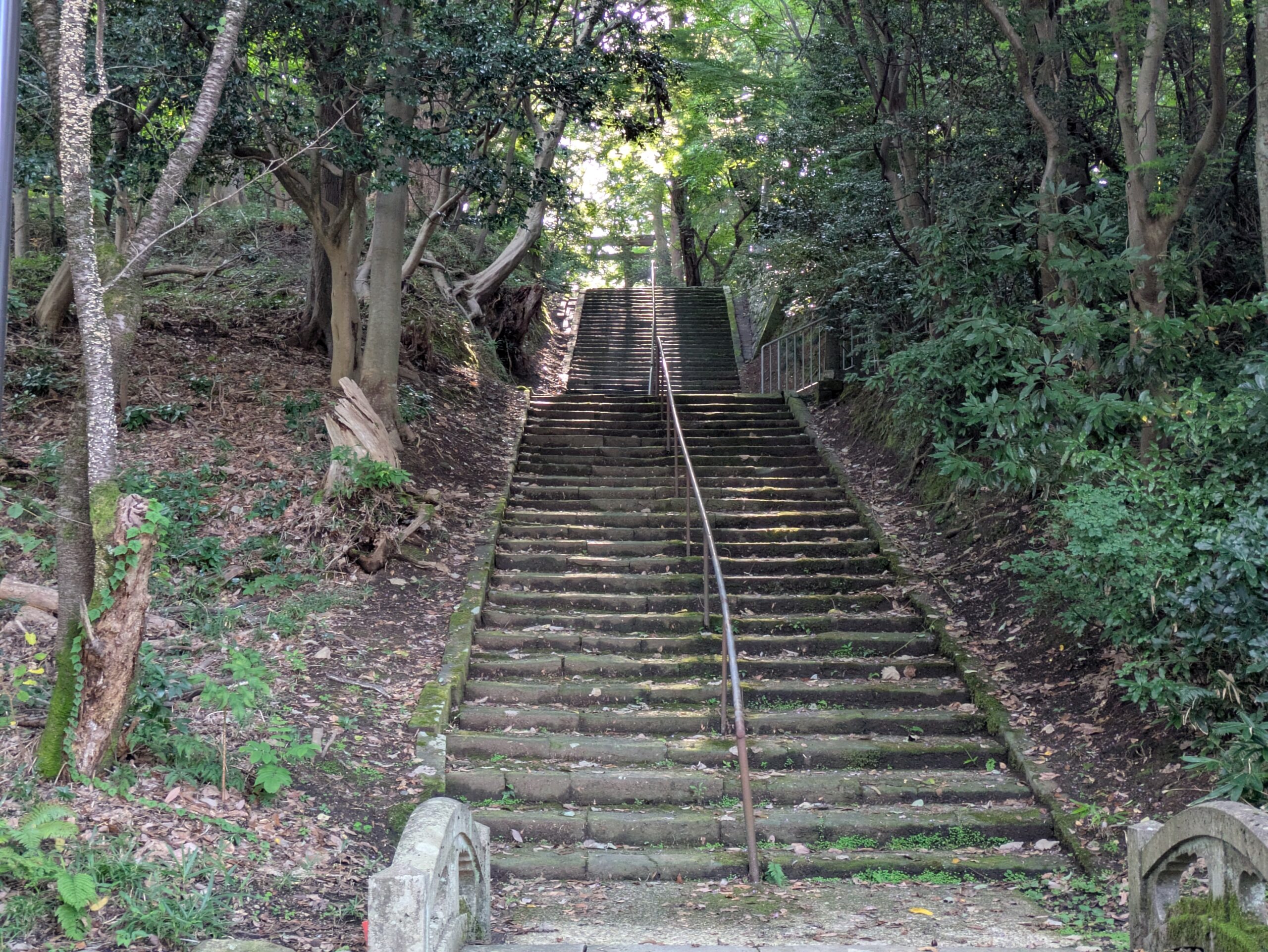 卯辰山三社へ向かって森の中をまっすぐ延びる長い石段
