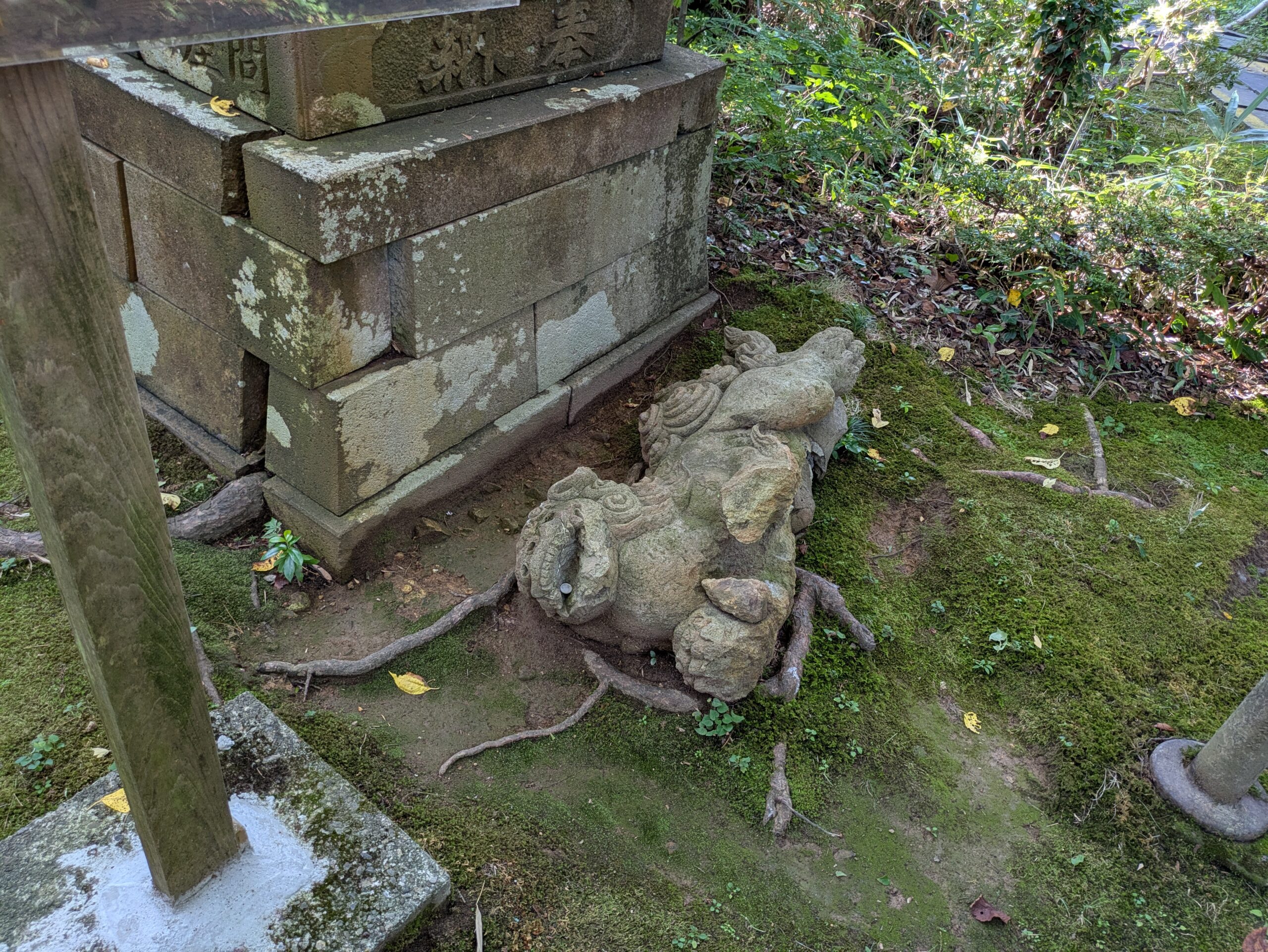 卯辰山三社境内で横倒しになっていた古い狛犬