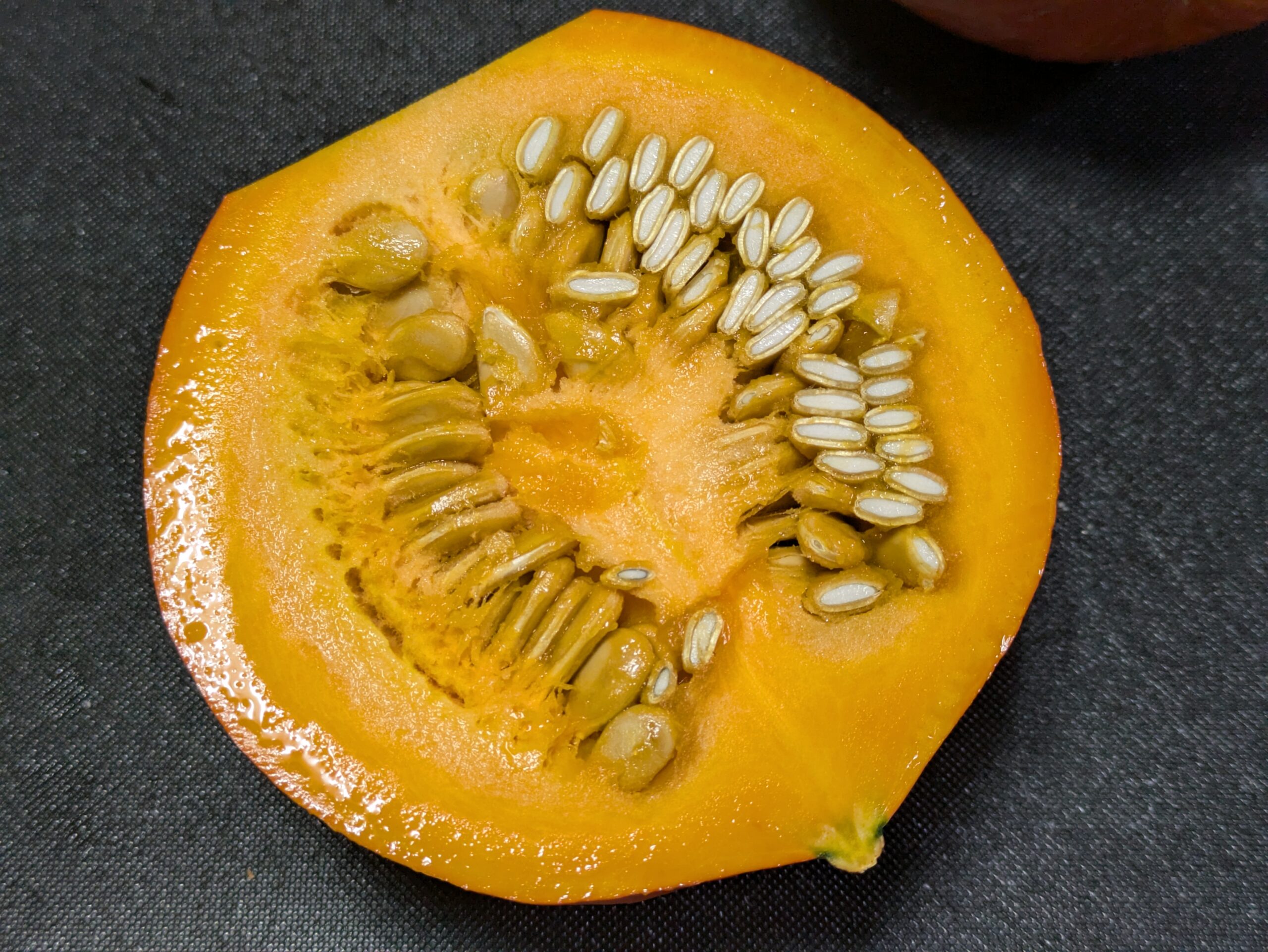 半分に切った打木赤皮甘栗かぼちゃ