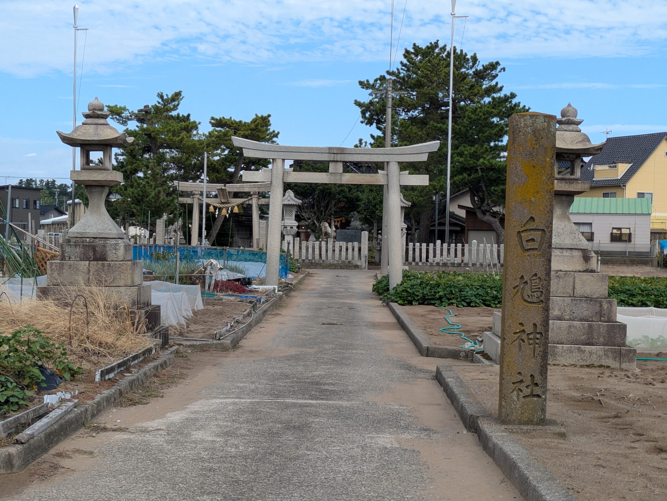 金沢市無量寺町の白鳩神社へ続く一の鳥居と周囲の畑