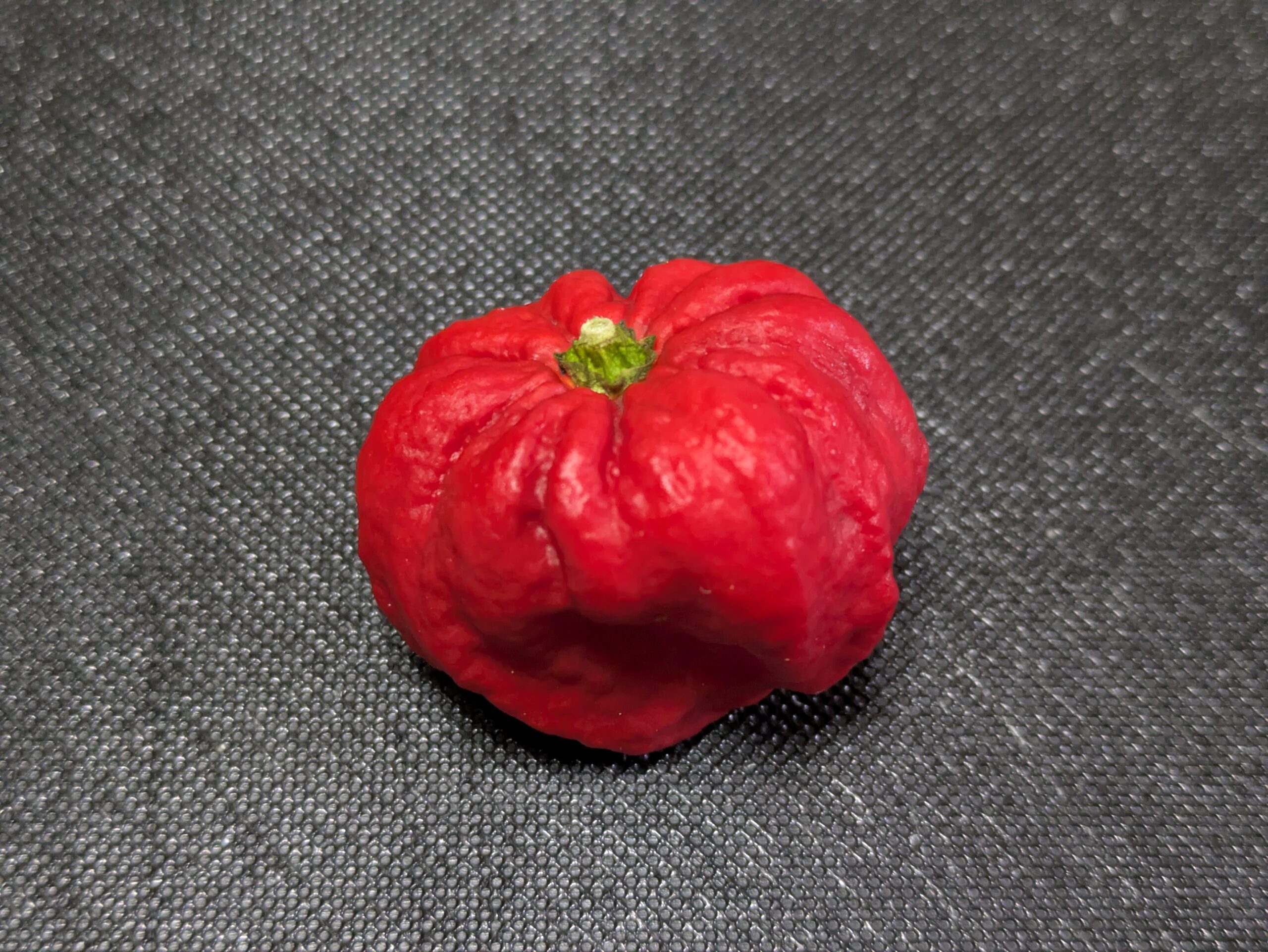 さらし鯨のマリネに使う赤い生ハバネロ