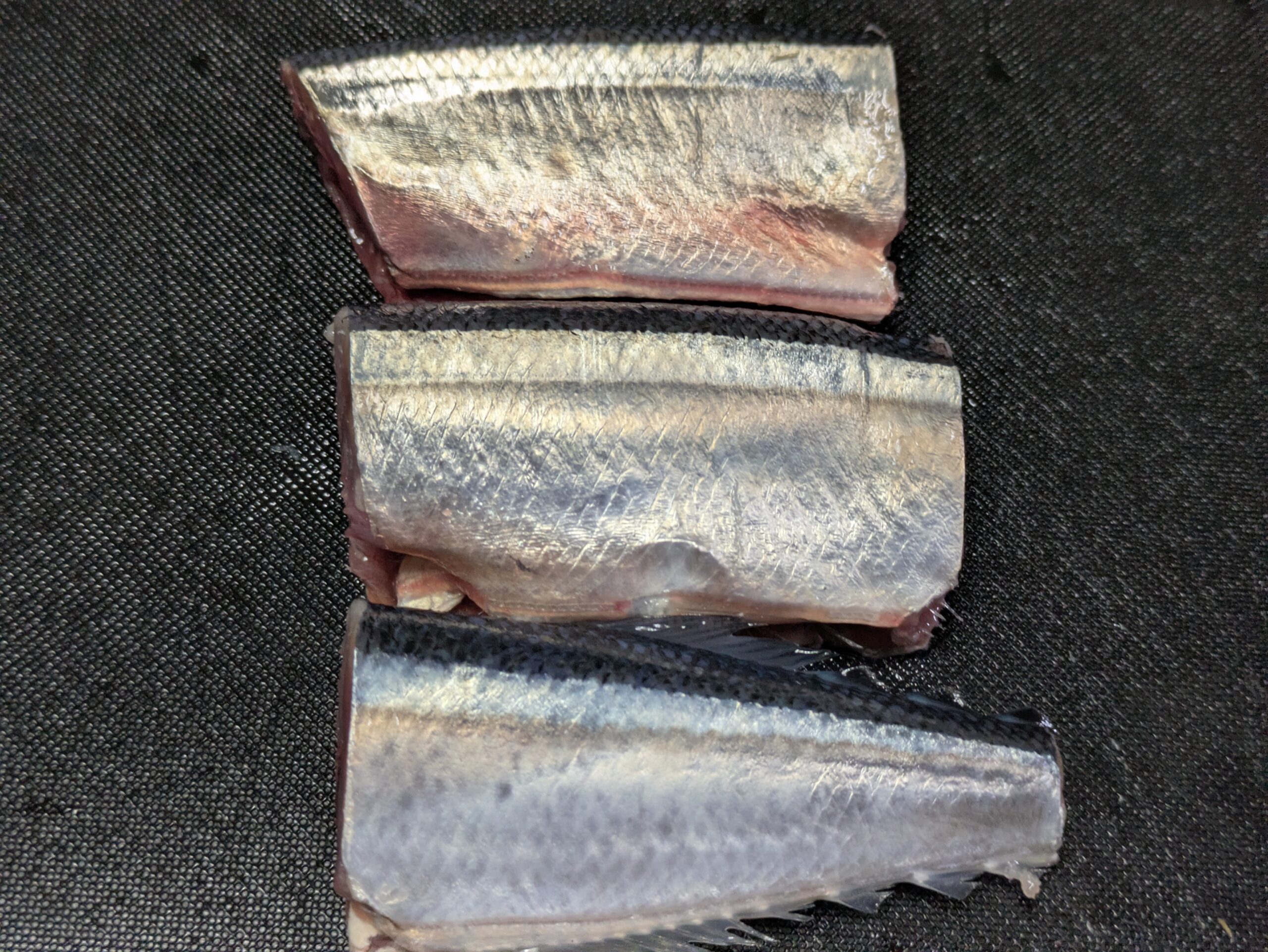 内臓を取り3等分の筒切りにしたサンマ