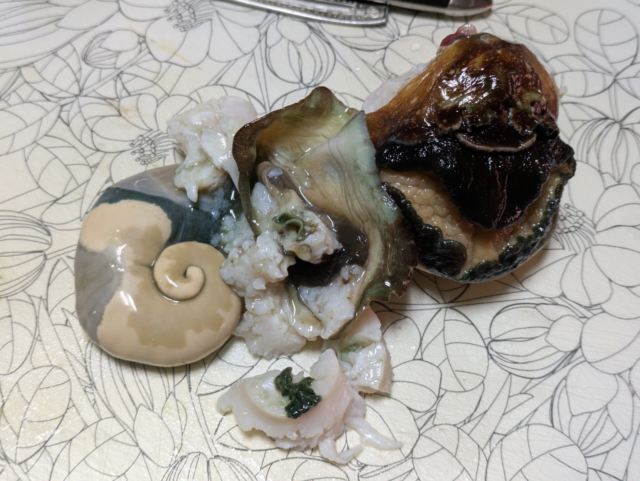 殻から取り出した夜光貝の身と内臓