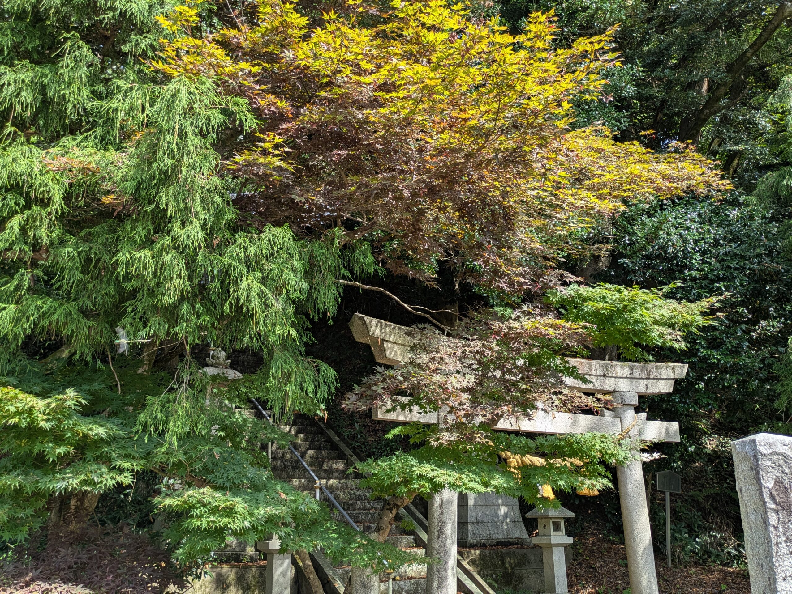 木々に囲まれた八幡社の鳥居