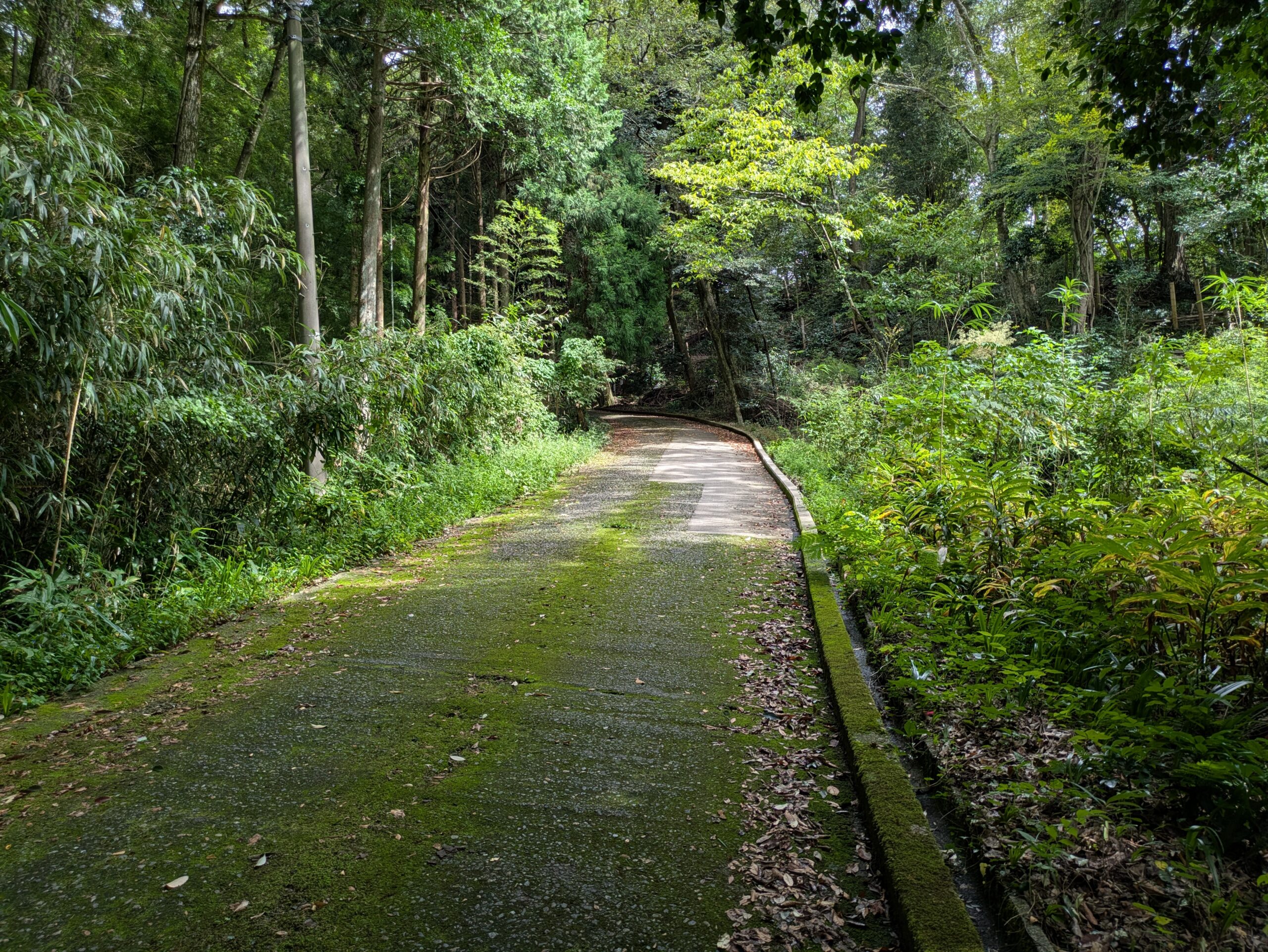 波自加彌神社の駐車場へ続く坂道