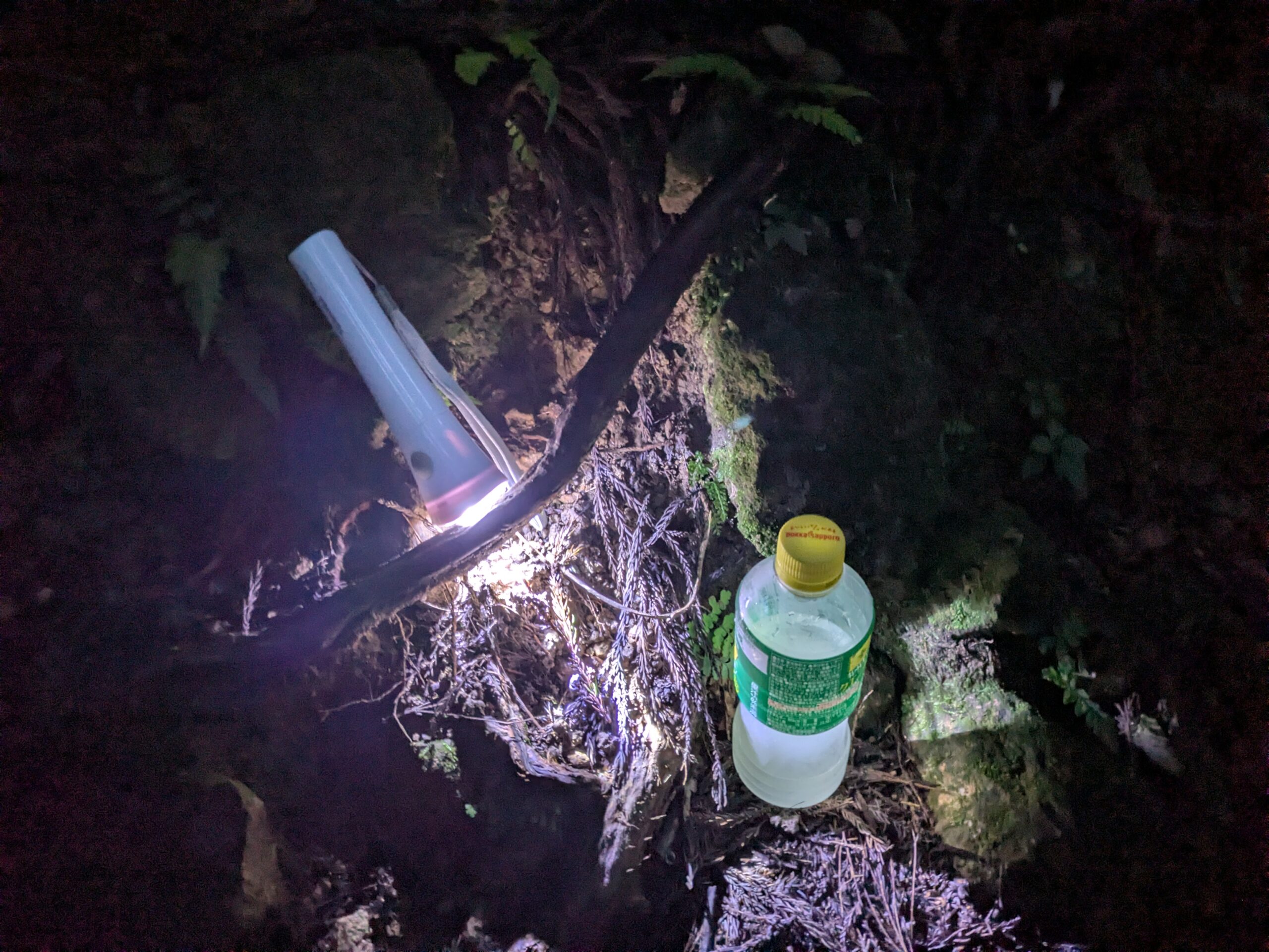 暗い奥獅子吼登山道で使用したライトと飲み物