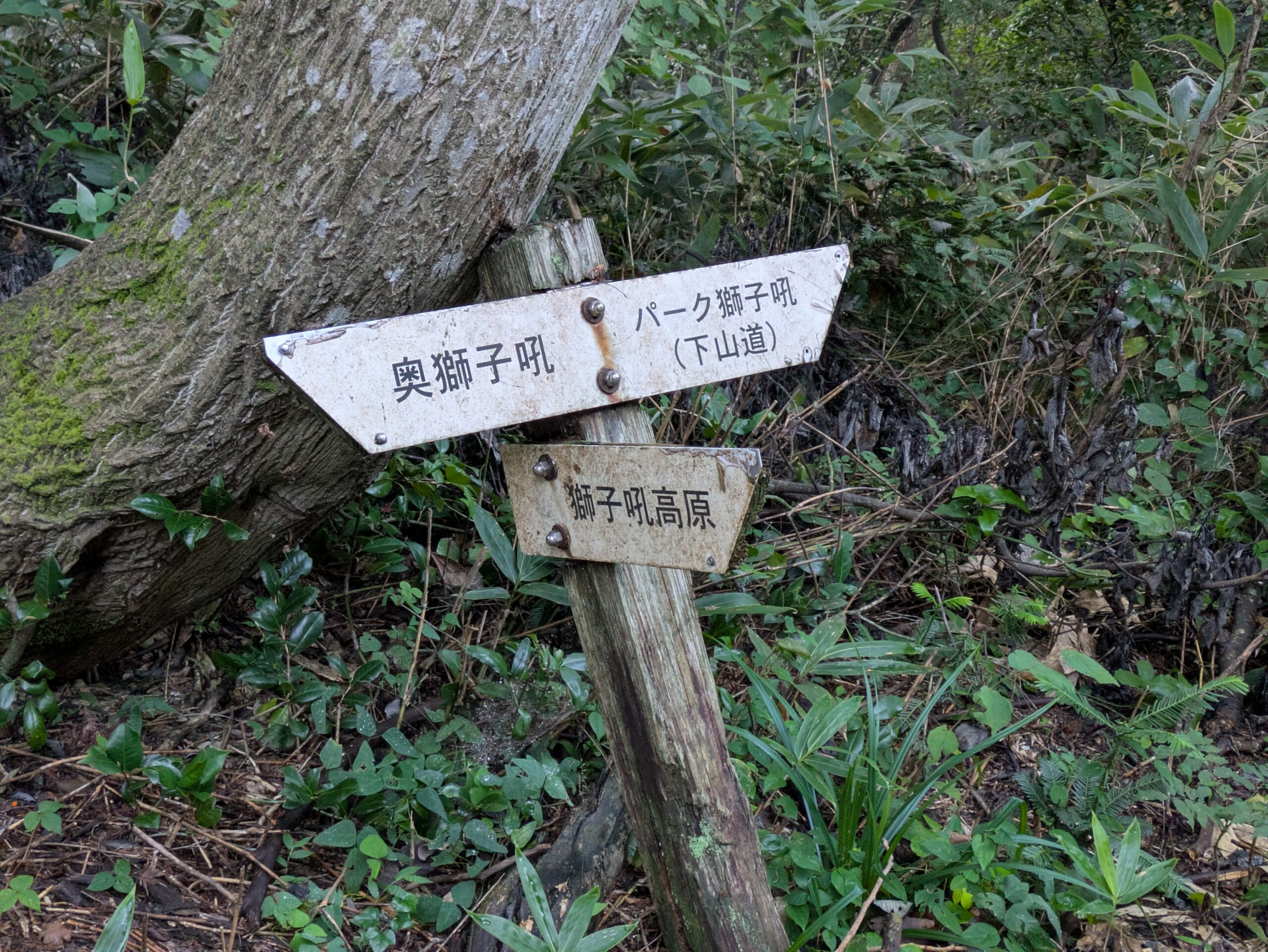月惜峠付近にある奥獅子吼と獅子吼高原の案内標識