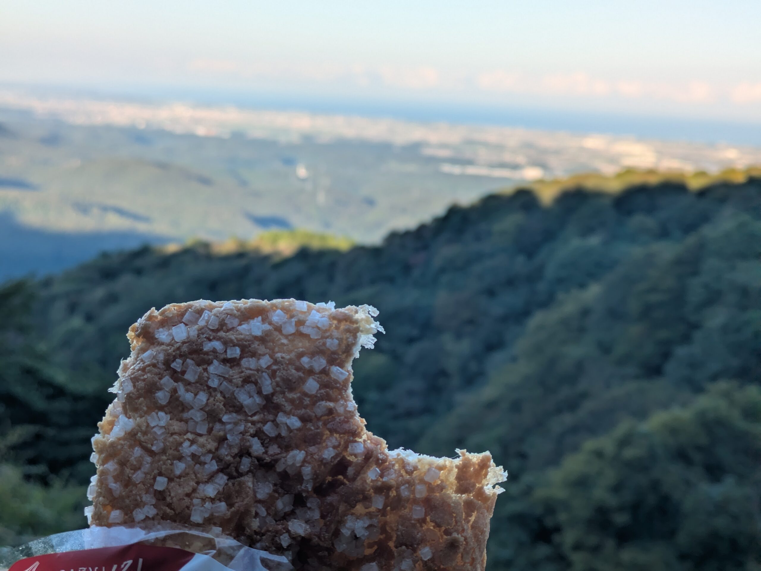 奥獅子吼山登山中に景色を見ながら食べたパン