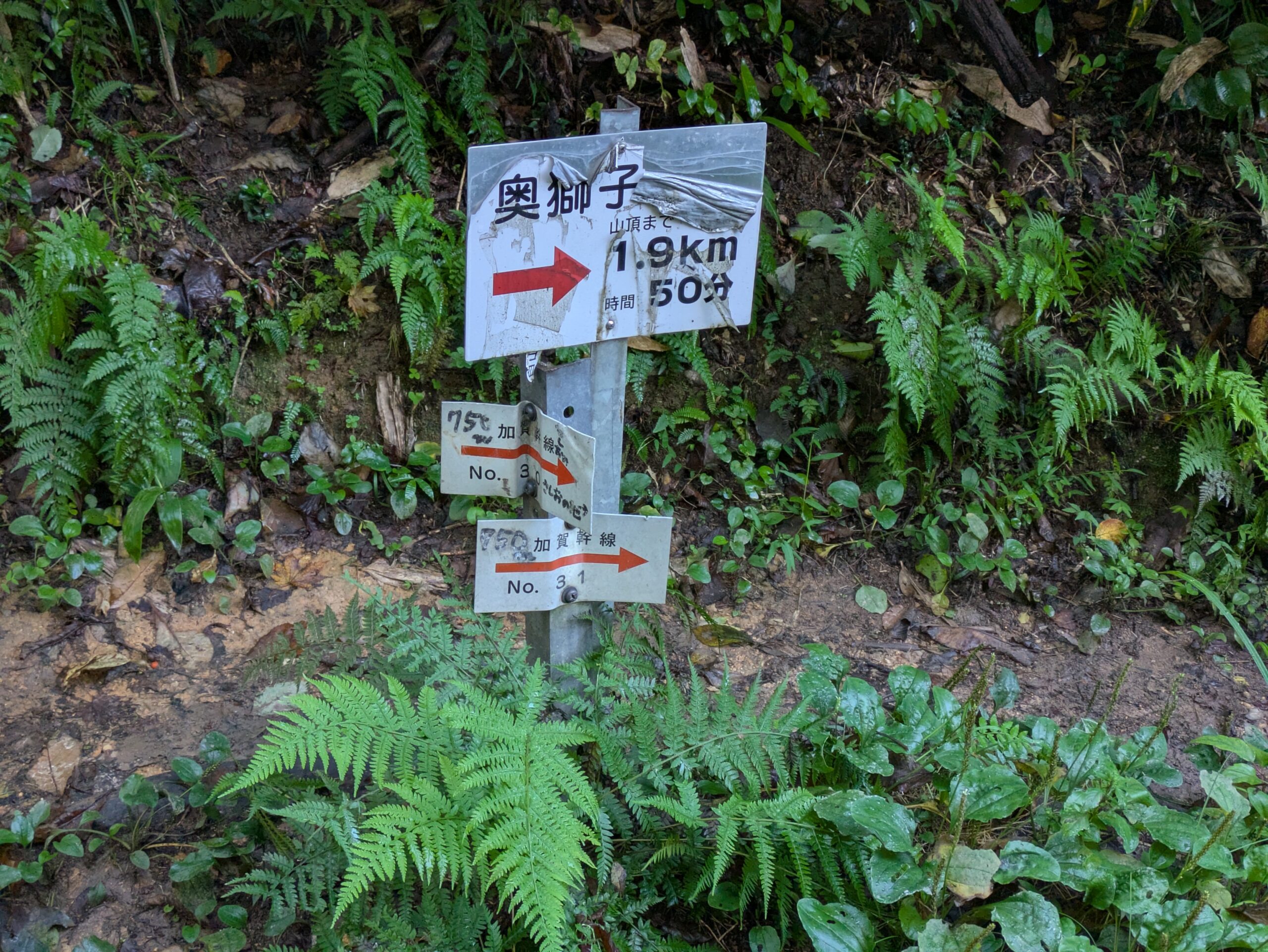 奥獅子吼山頂まで1.9kmと書かれた登山道の案内板