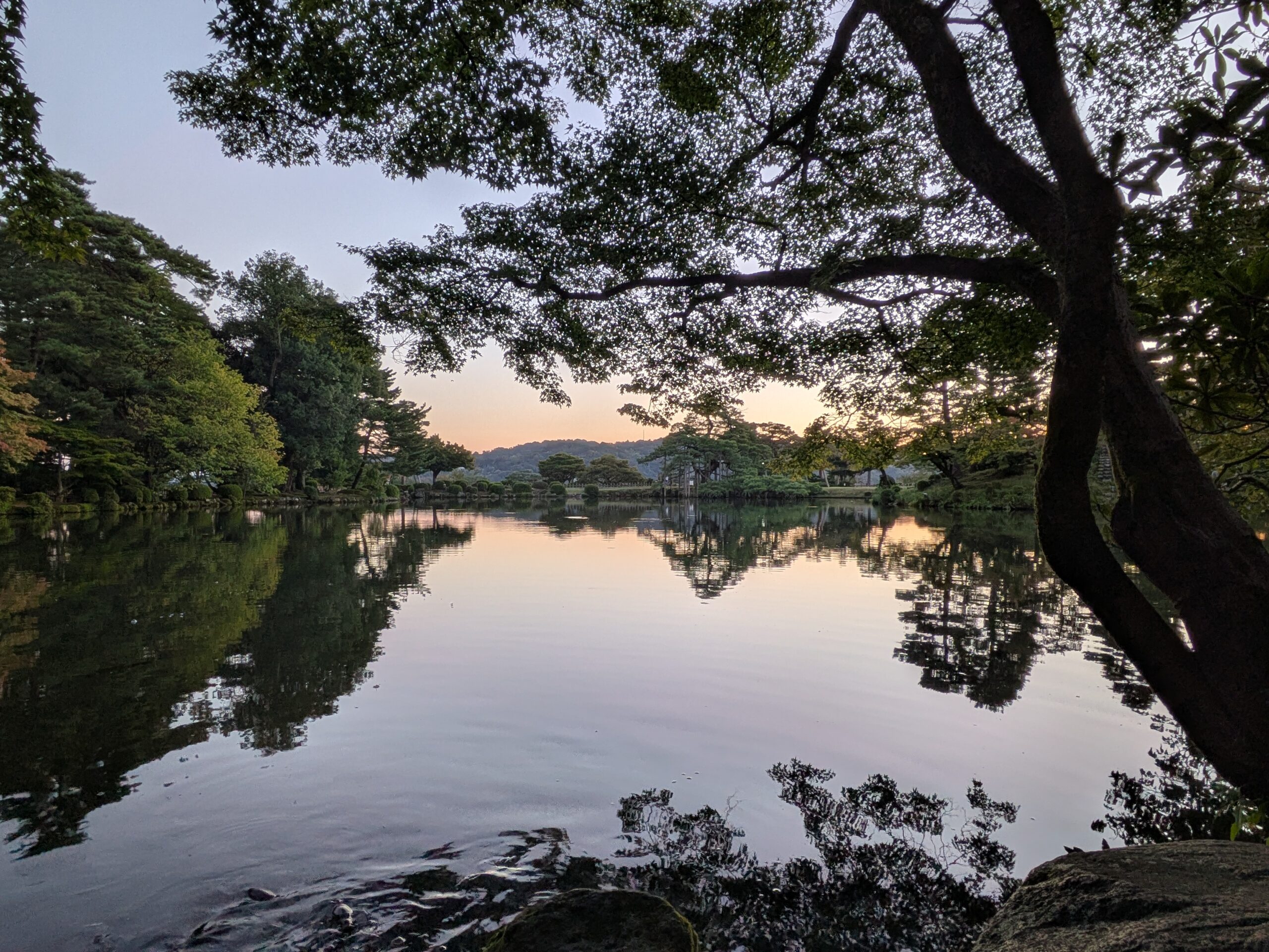 兼六園の霞ヶ池を徽軫灯籠とは反対側から撮影した早朝の風景