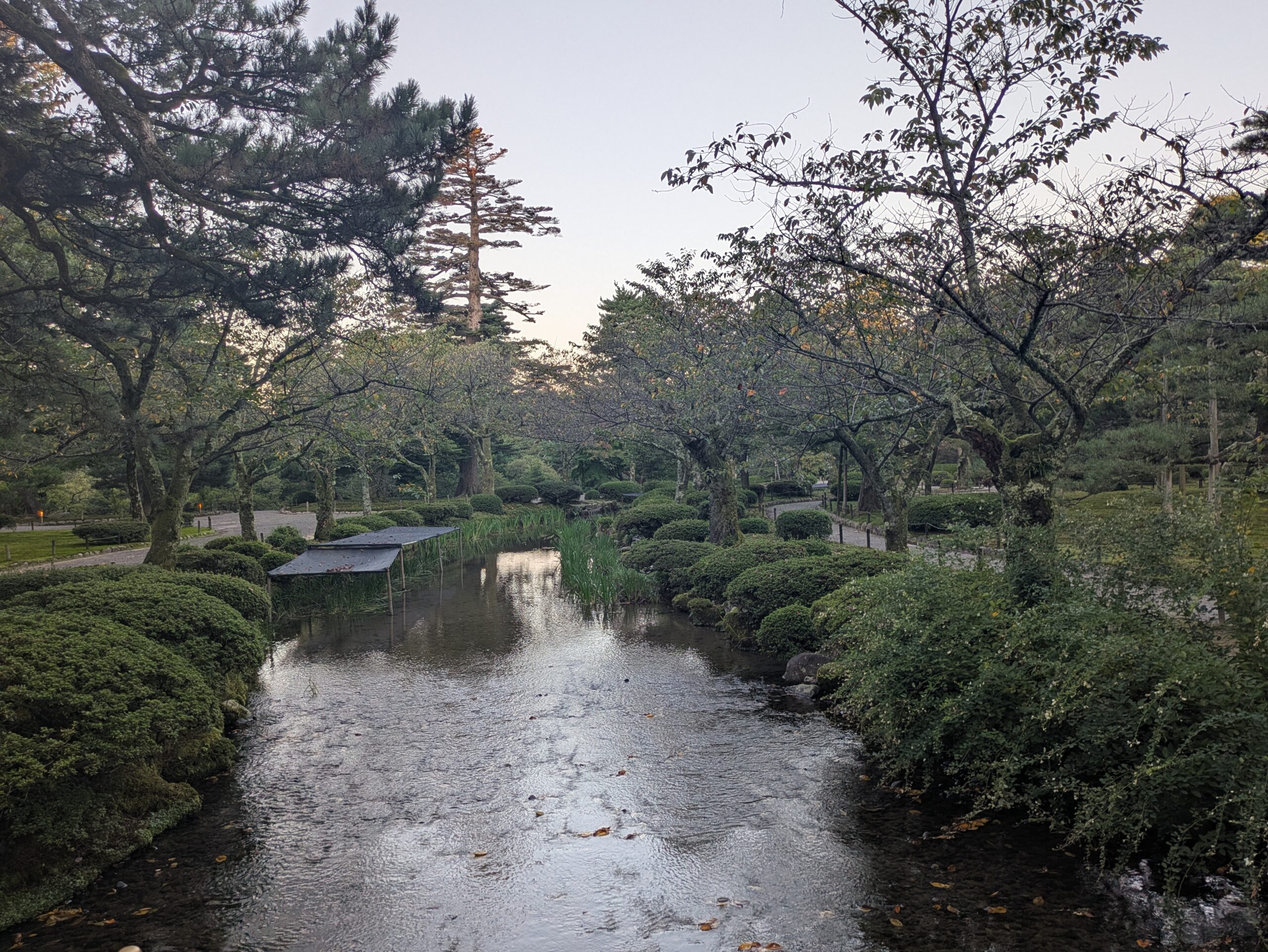 10月の兼六園の花見橋周辺。桜の葉が落ち始めた水辺の風景