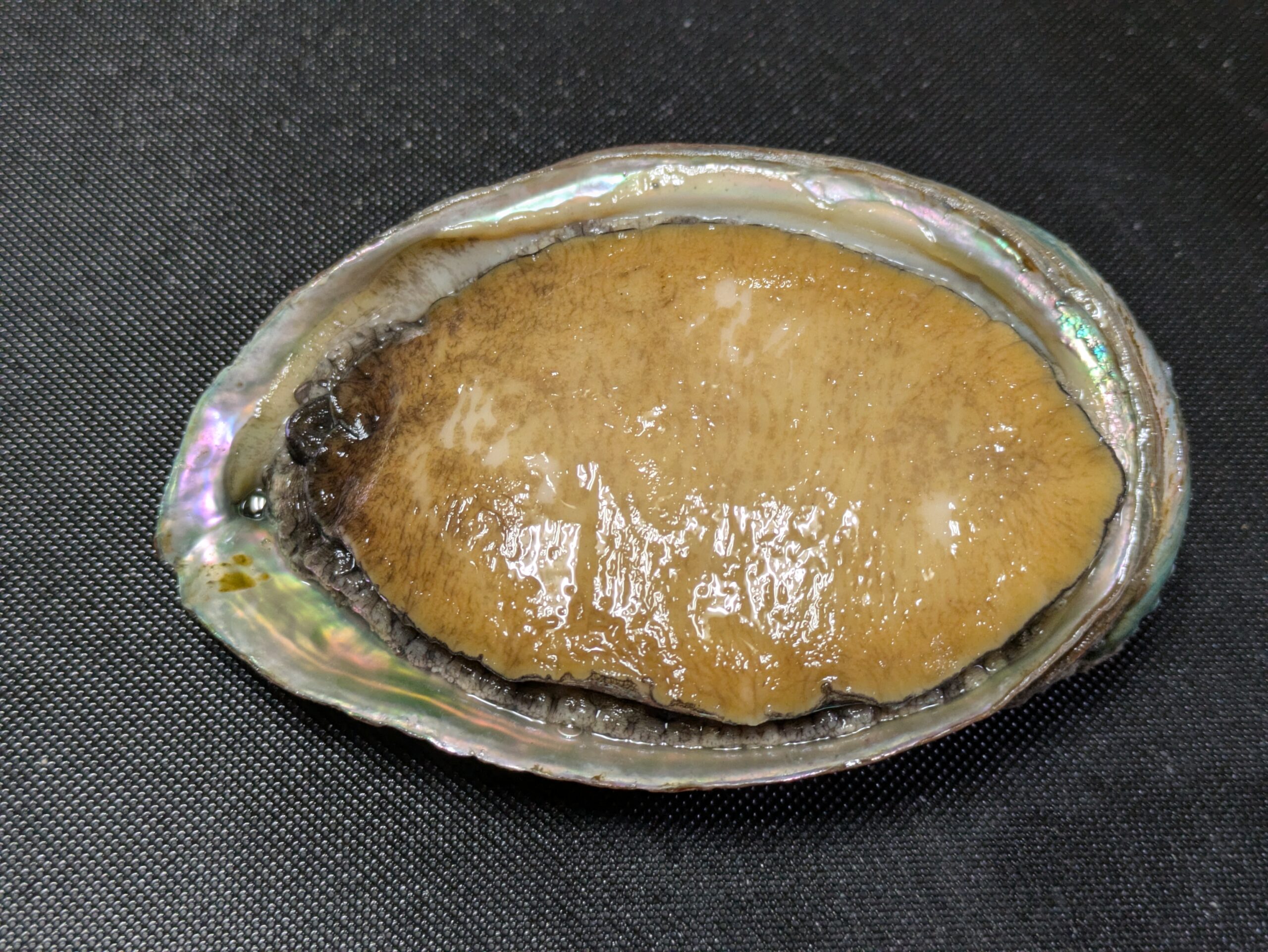 柔らか煮にするアワビ