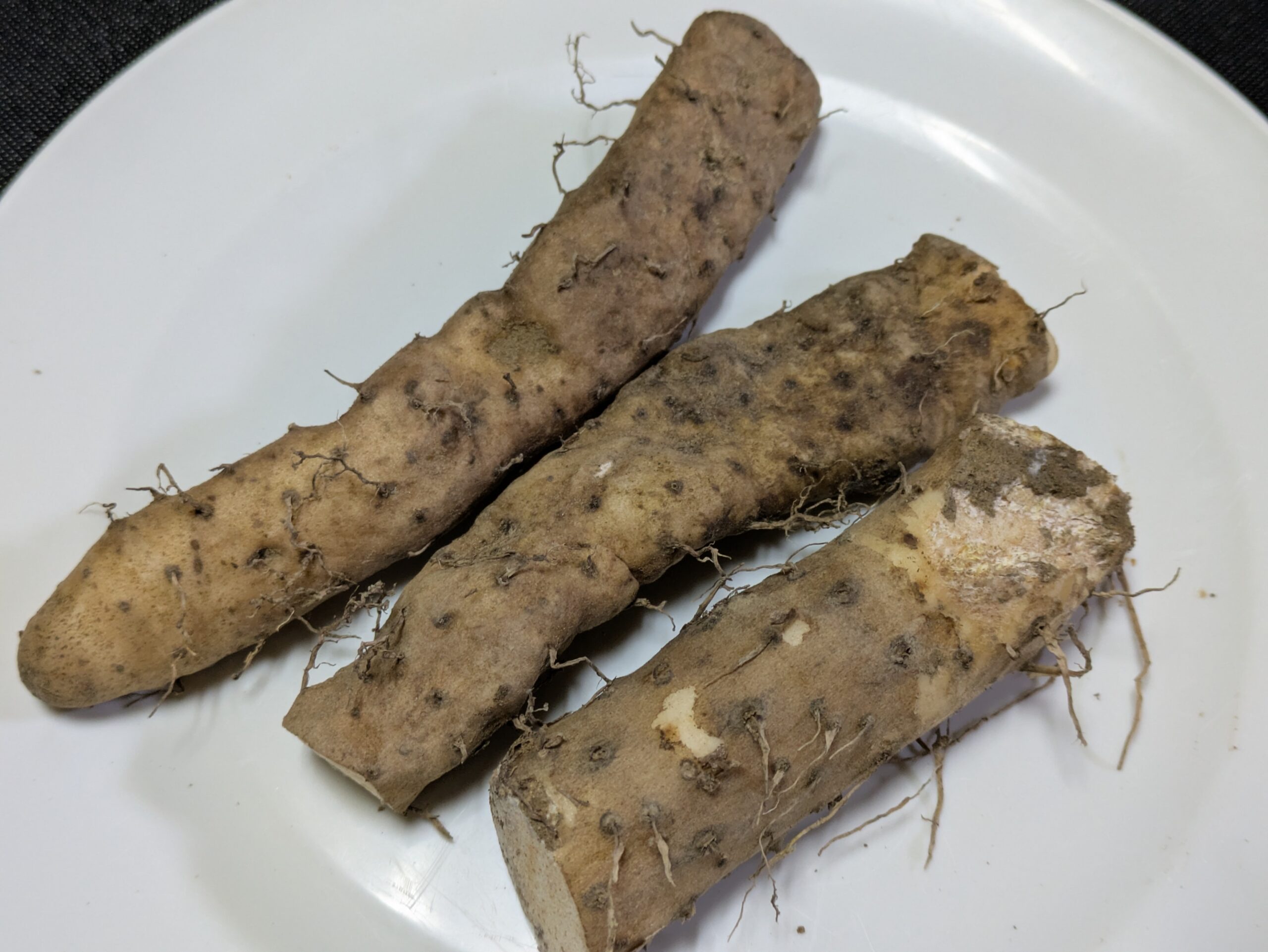 むかごご飯にかける細い自然薯