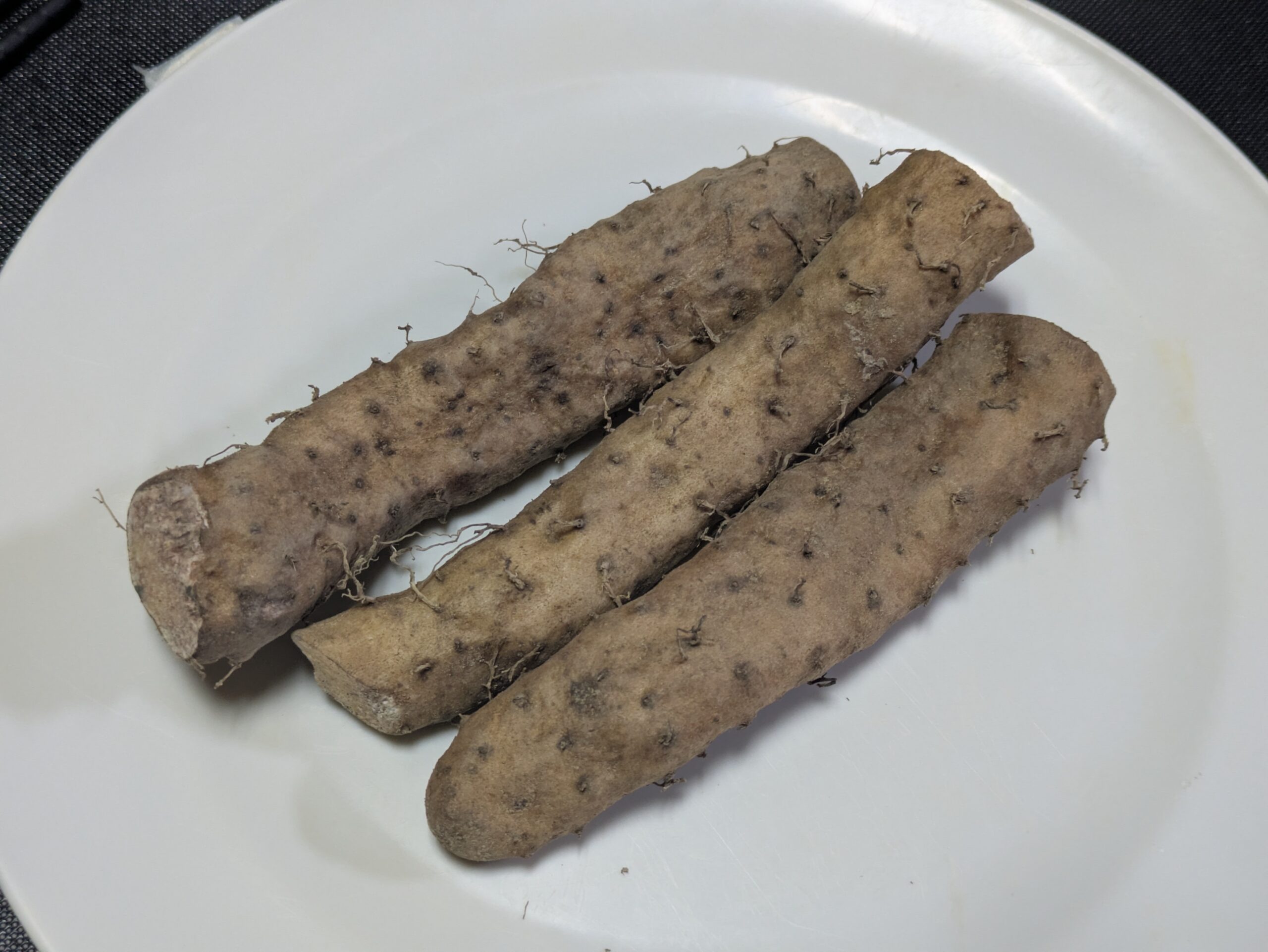 ほがらか村で購入した細い自然薯