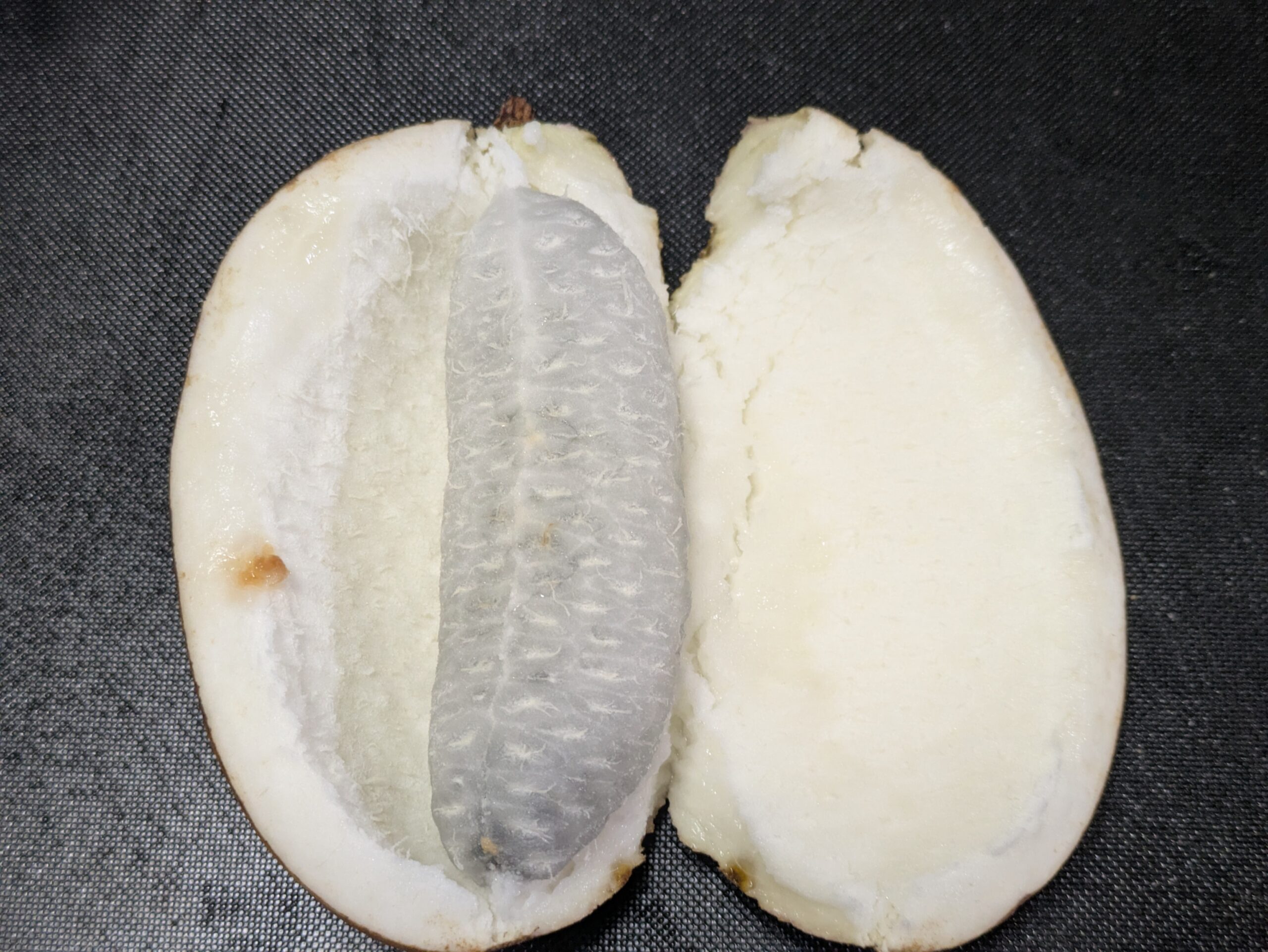 アケビの皮を開いて白く半透明な果肉を露出させた様子