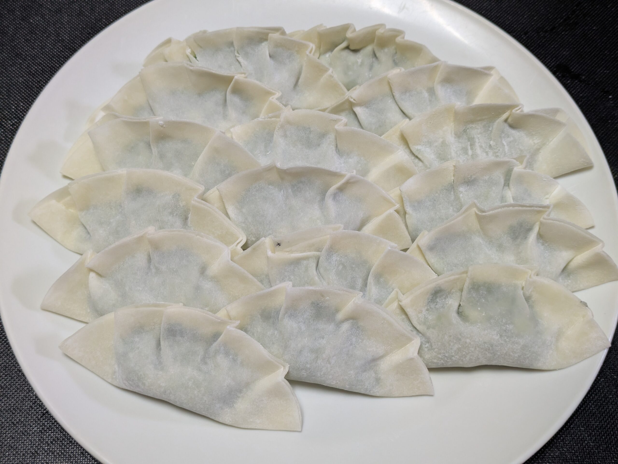 皿に並べた手作りしらすとニラの餃子16個