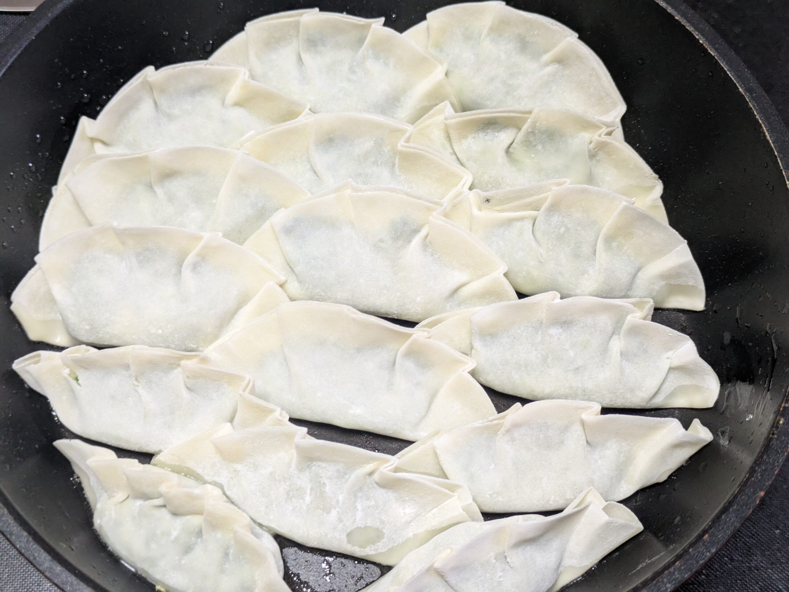 フライパンに並べて焼いているしらすとニラの餃子