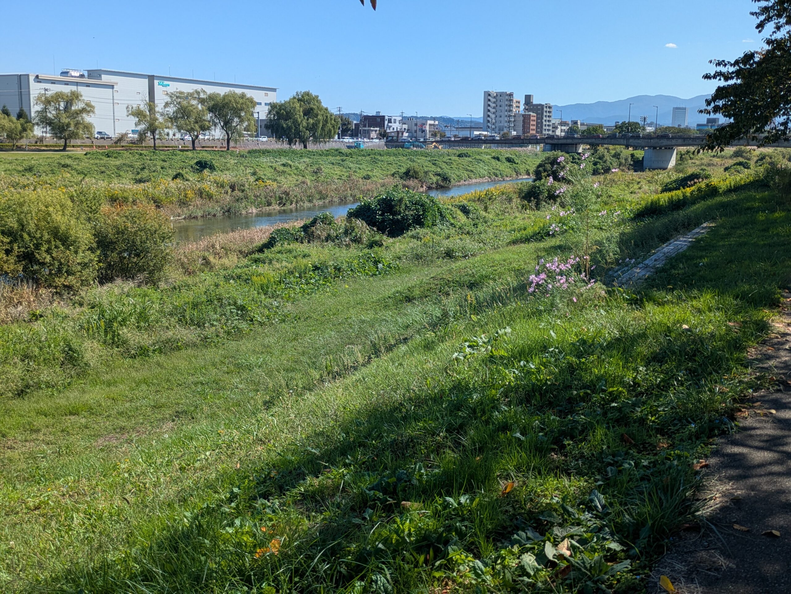 犀川沿いの土手から見た川と周辺の街並み